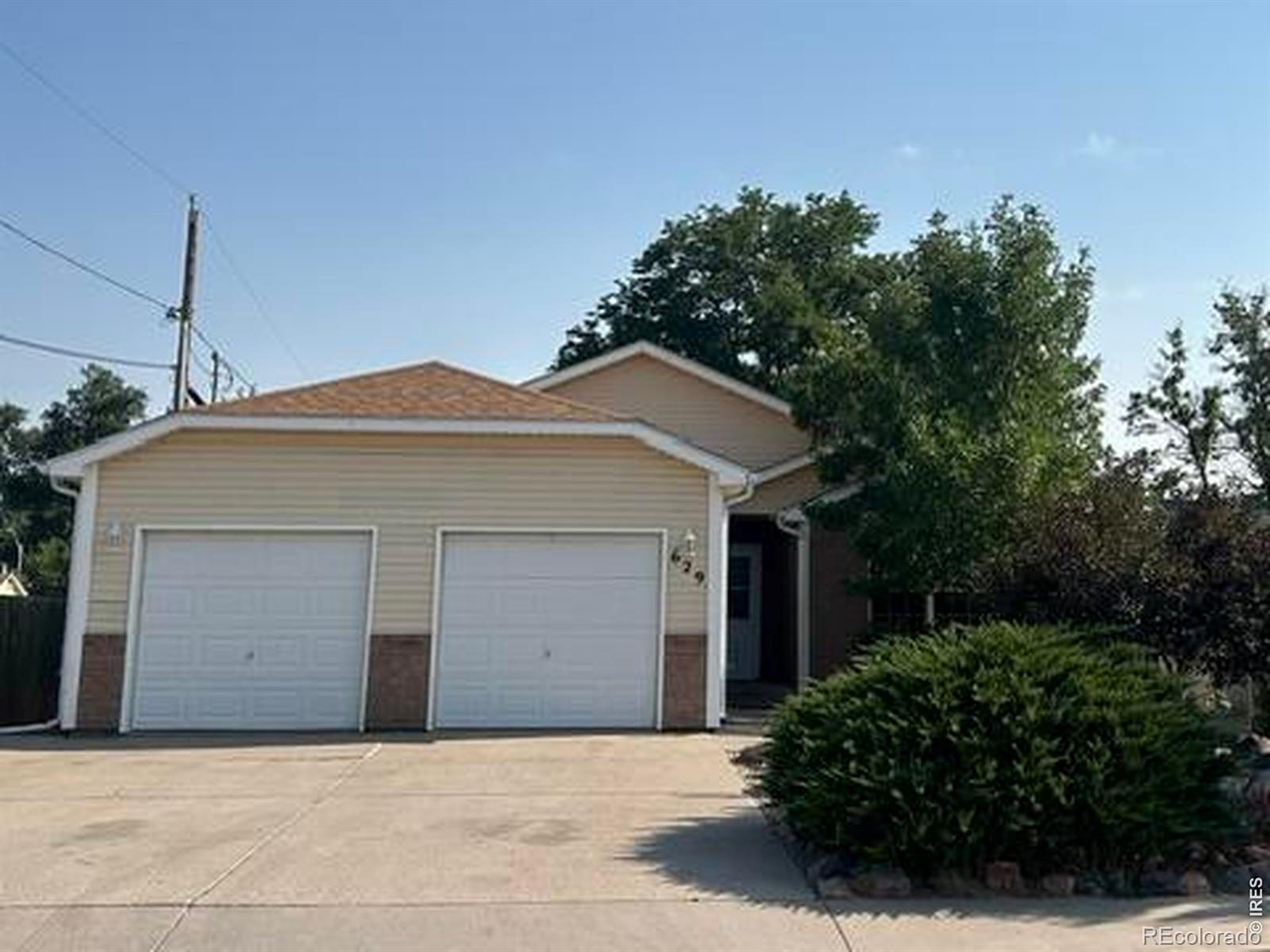 MLS Image #1 for 629  ash street,windsor, Colorado