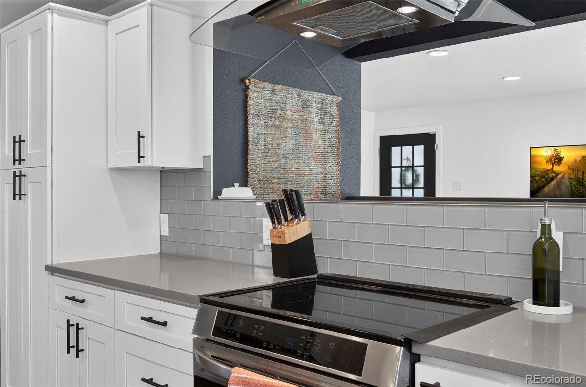 MLS Image #13 for 515  dover street,denver, Colorado