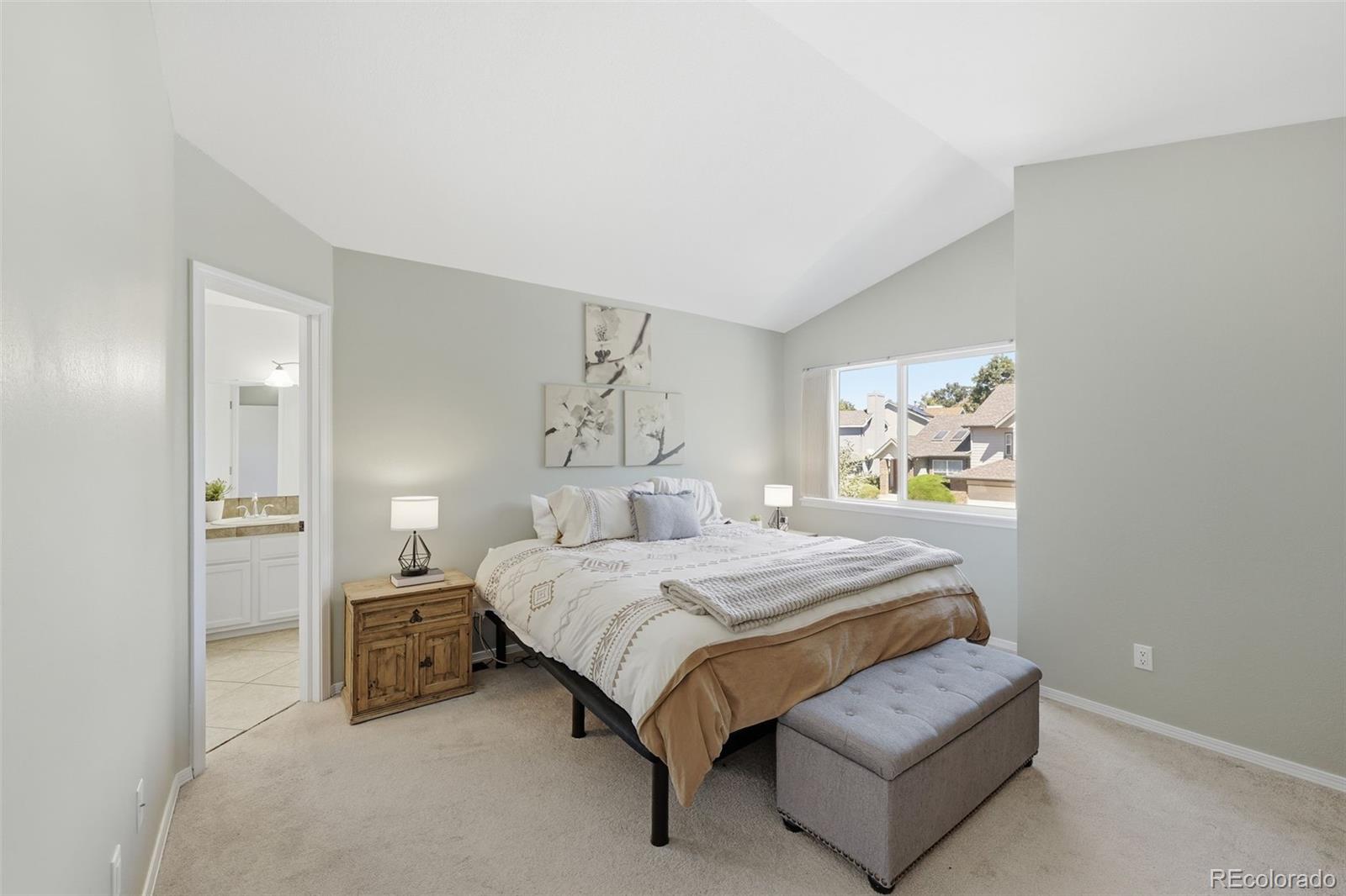 MLS Image #18 for 9339  waterford court,highlands ranch, Colorado
