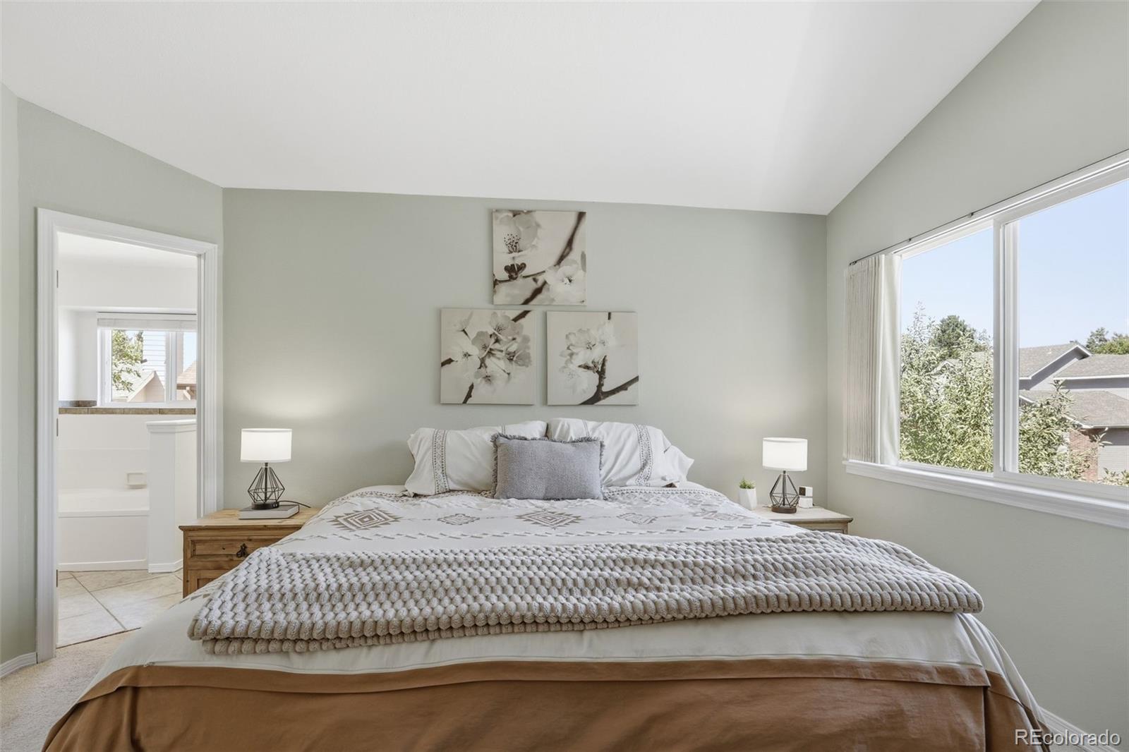 MLS Image #19 for 9339  waterford court,highlands ranch, Colorado