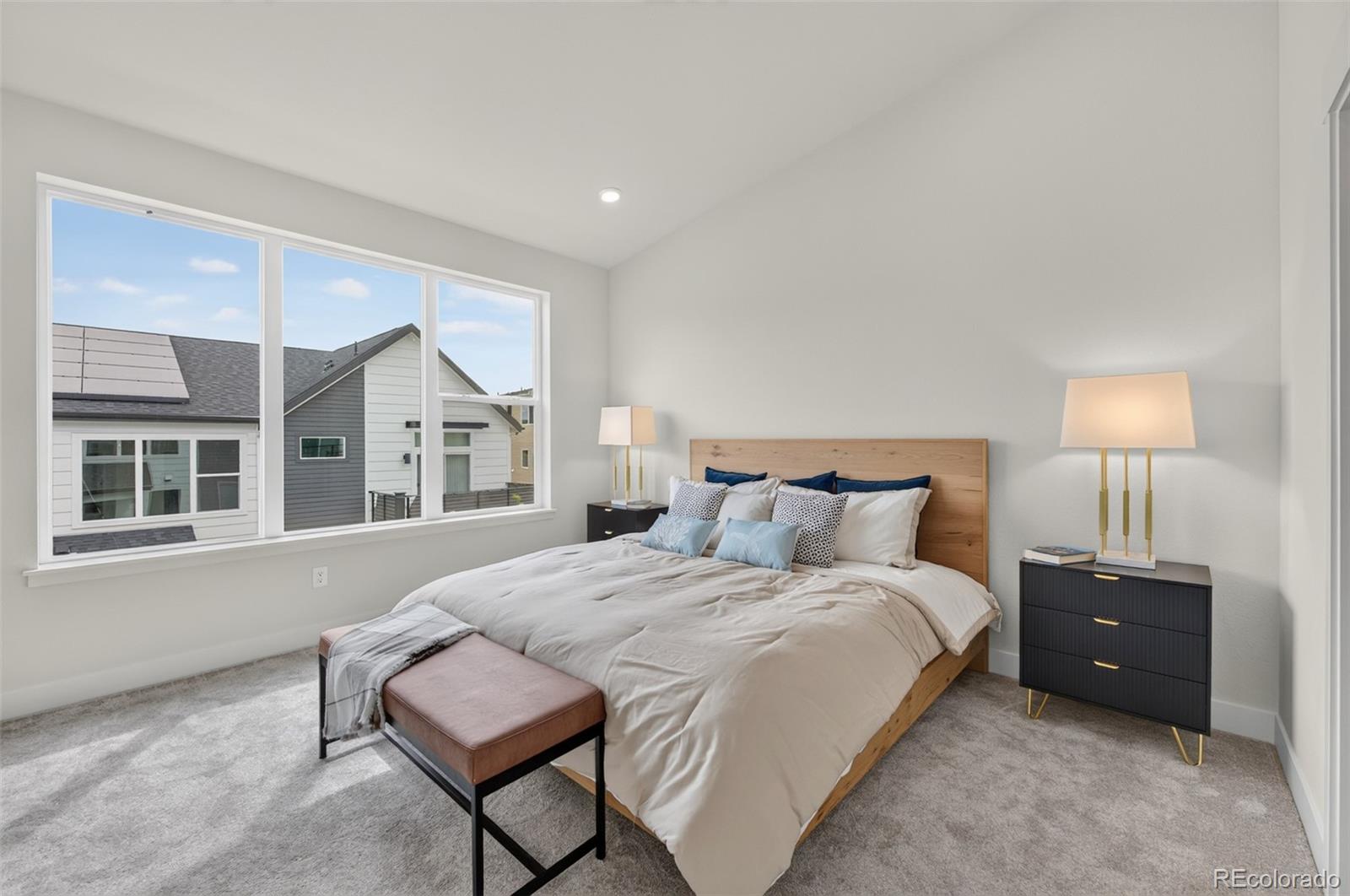 MLS Image #10 for 3279 w frances walsh place,denver, Colorado