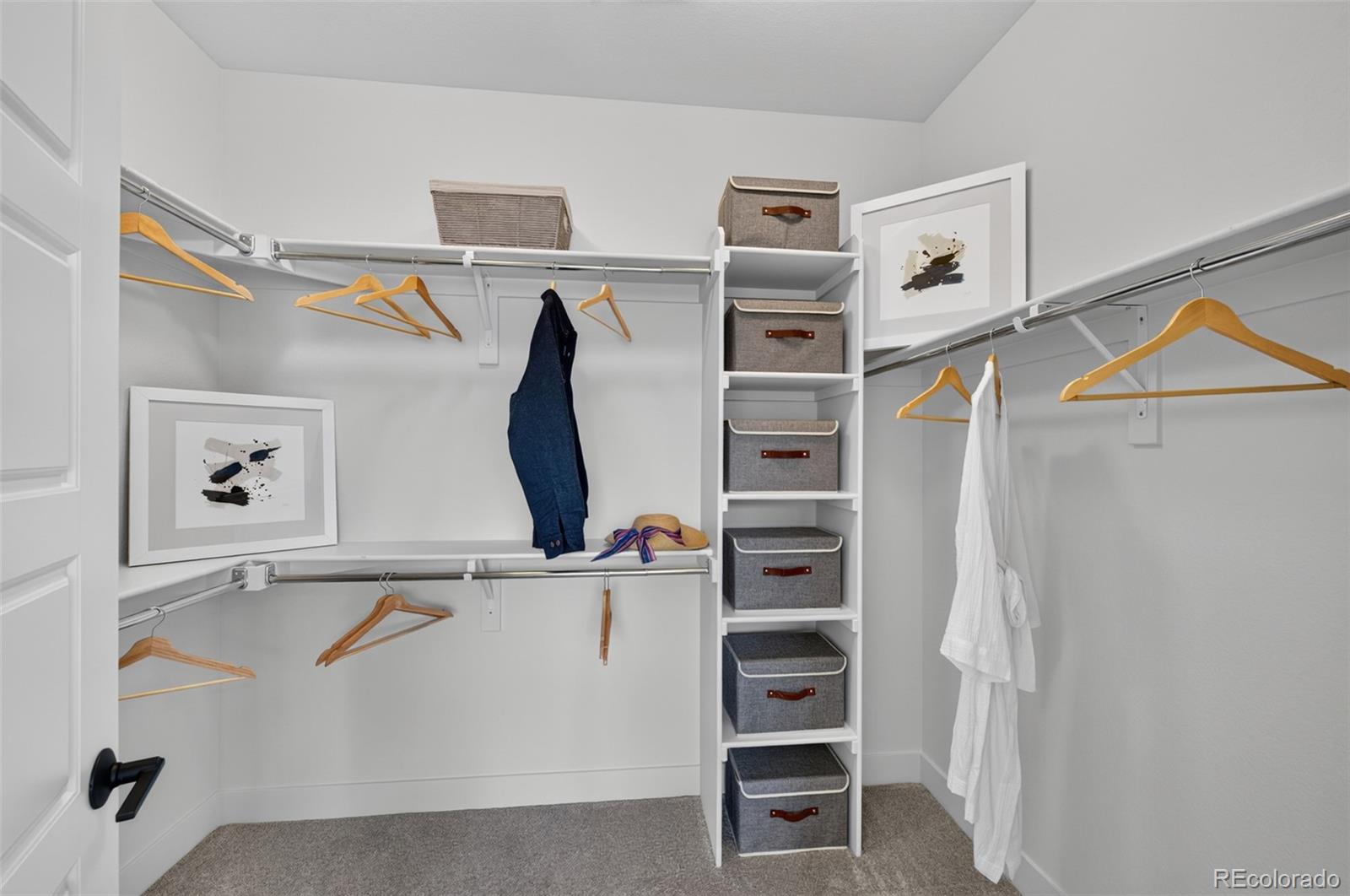 MLS Image #14 for 3279 w frances walsh place,denver, Colorado