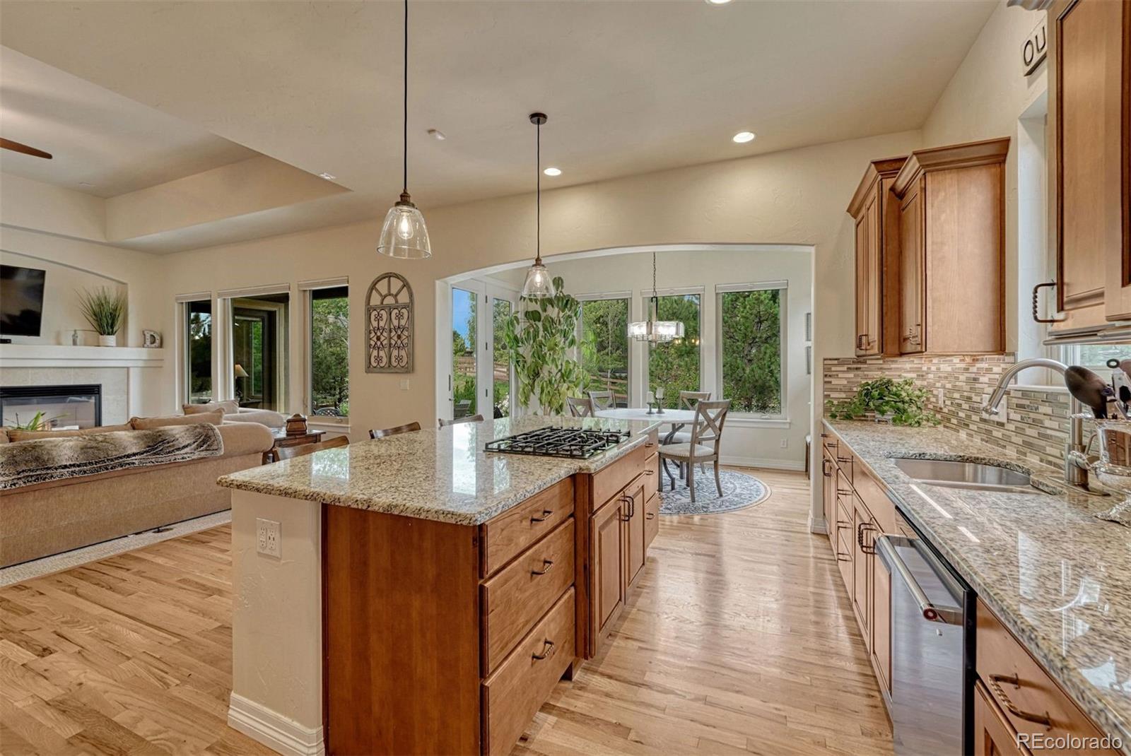 MLS Image #11 for 7211  galaxy circle,castle rock, Colorado