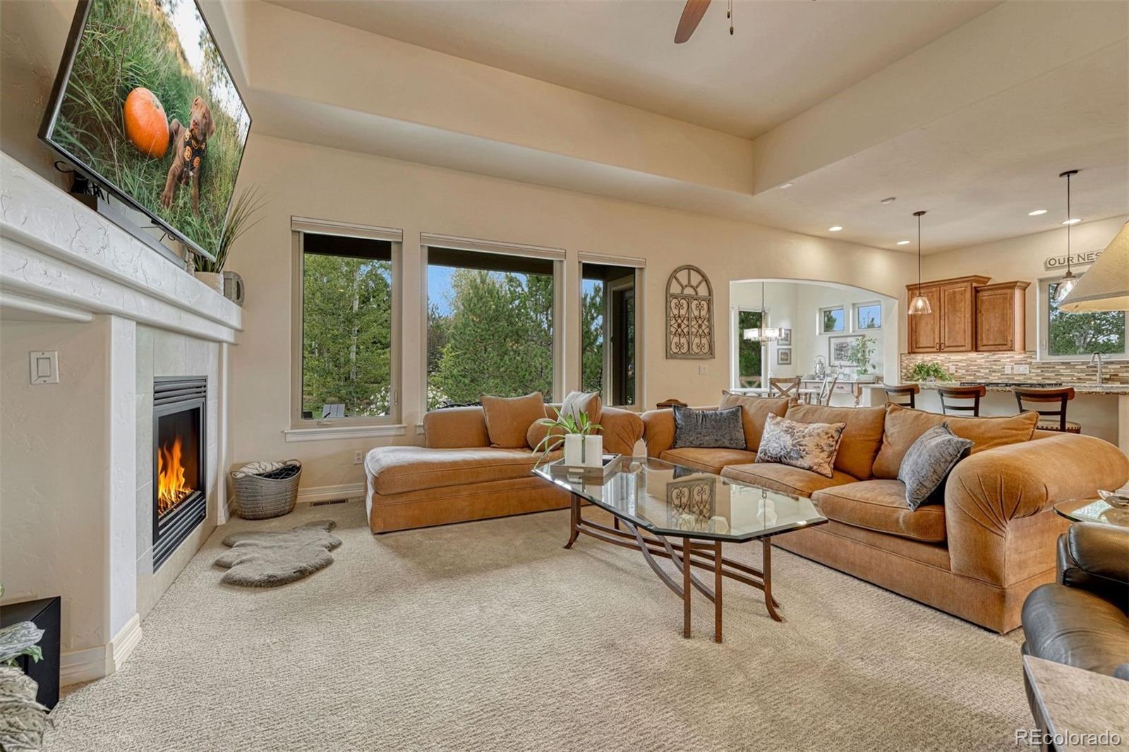 MLS Image #9 for 7211  galaxy circle,castle rock, Colorado