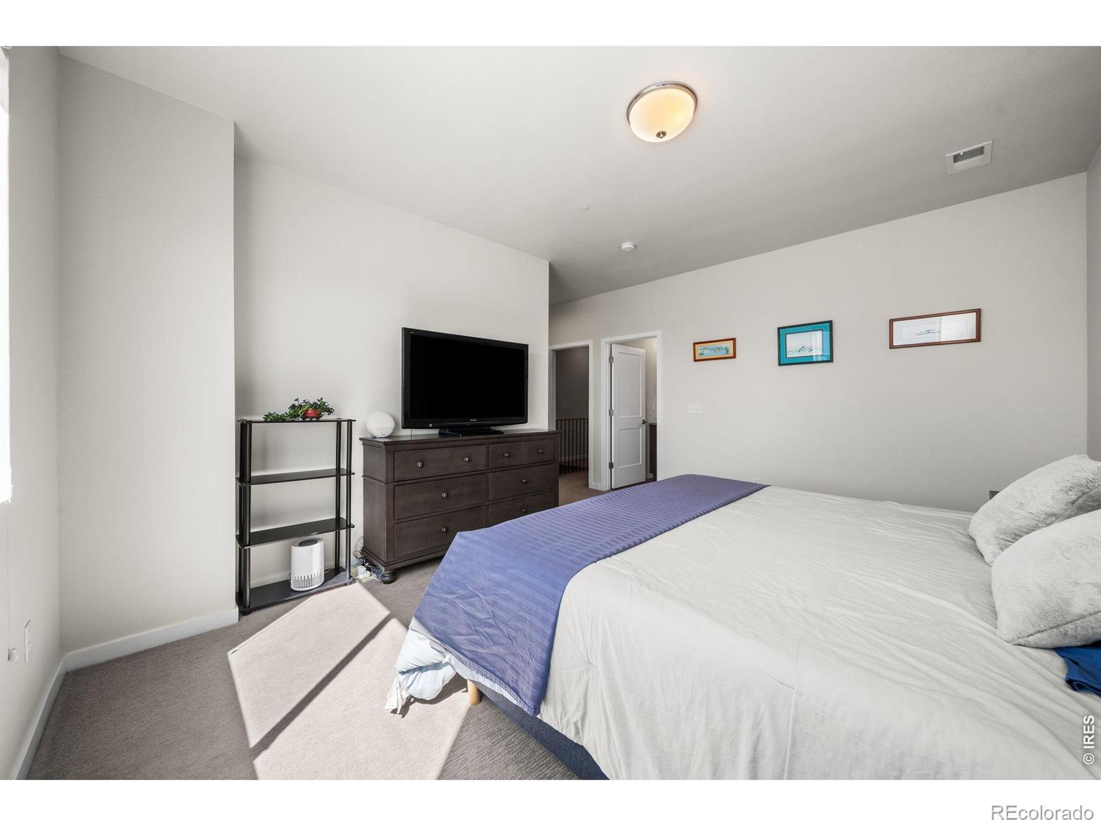 MLS Image #18 for 3312  green lake drive,fort collins, Colorado