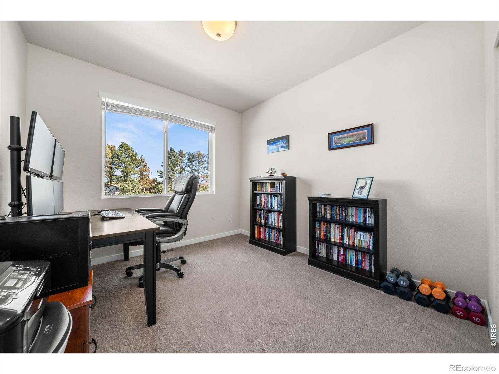 MLS Image #21 for 3312  green lake drive,fort collins, Colorado