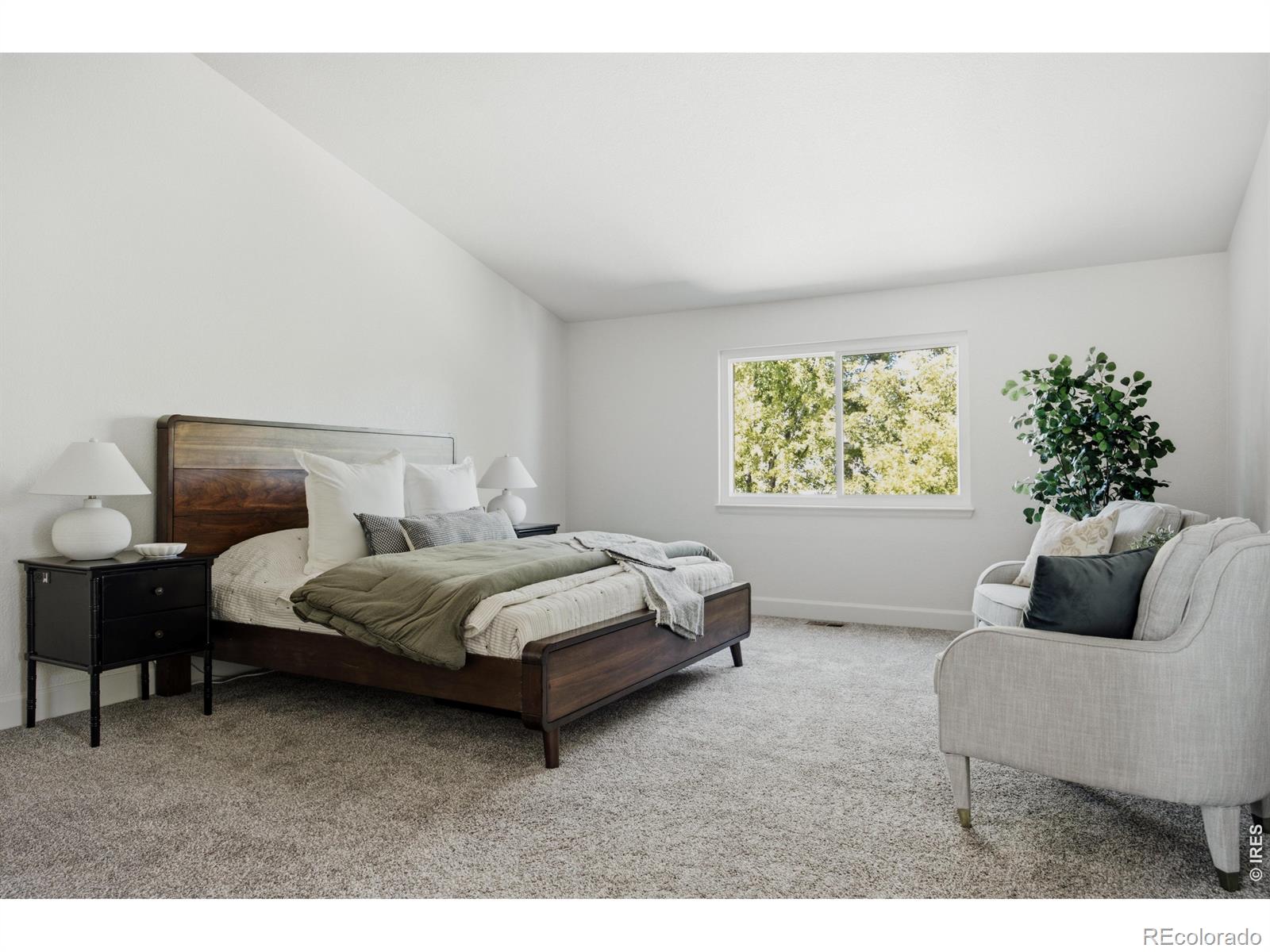 MLS Image #19 for 1234  lombardi street,erie, Colorado
