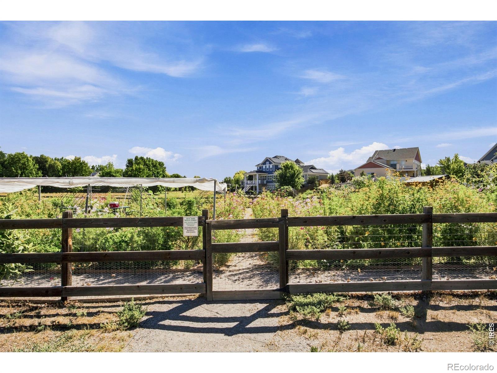 MLS Image #40 for 1234  lombardi street,erie, Colorado