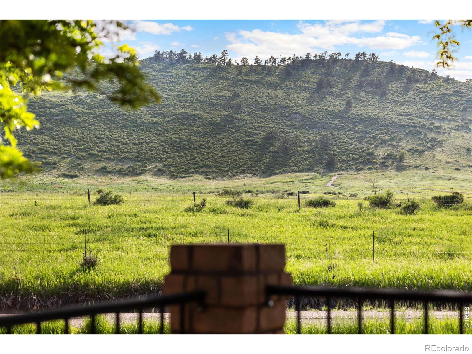 MLS Image #34 for 4025  spruce drive,fort collins, Colorado