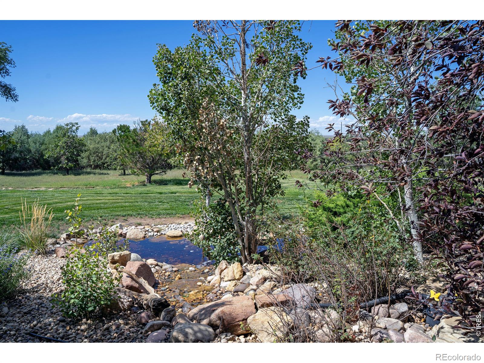 MLS Image #5 for 39566  county road 84 ,briggsdale, Colorado