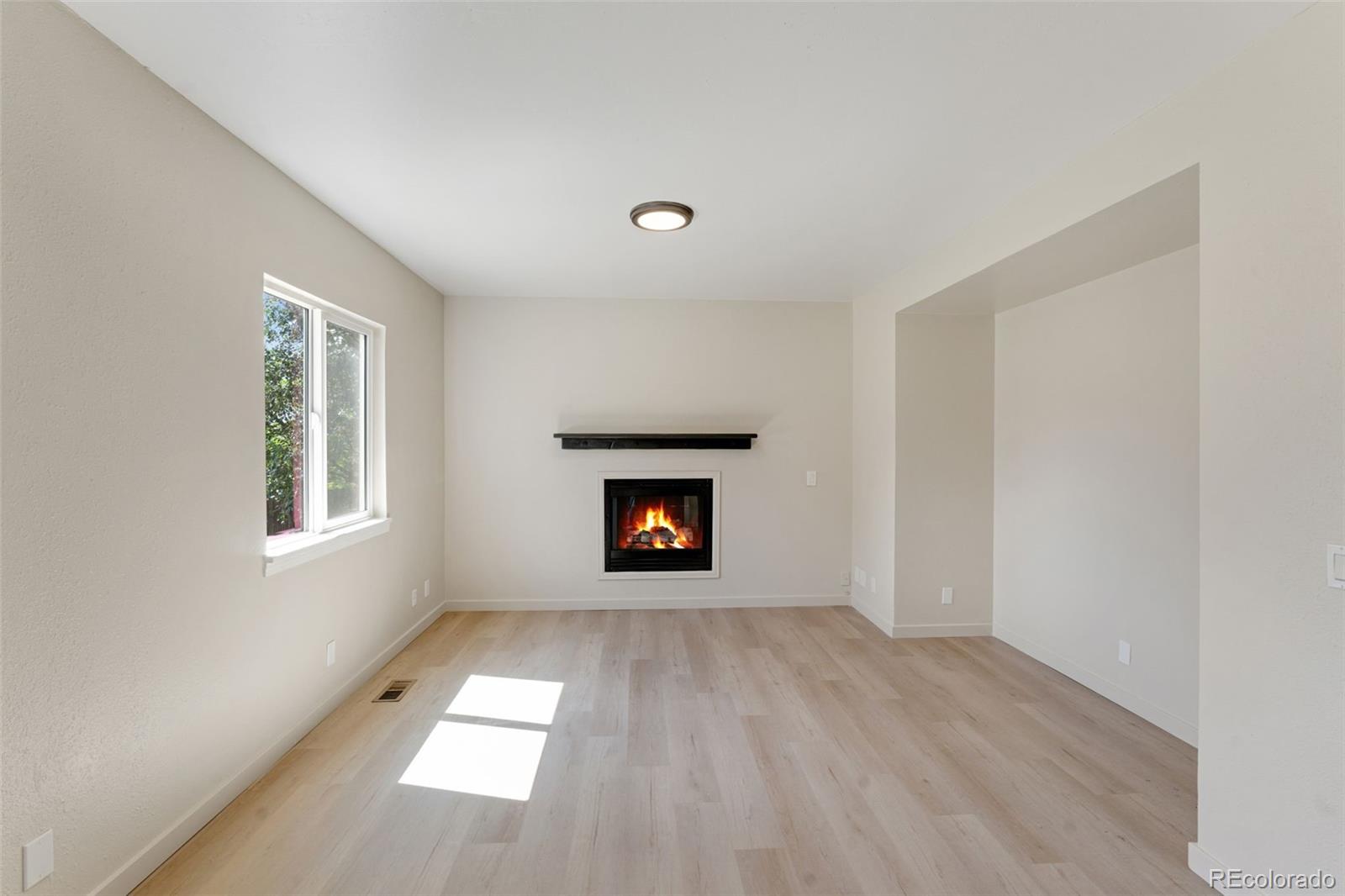 MLS Image #10 for 2366  distinctive drive,colorado springs, Colorado