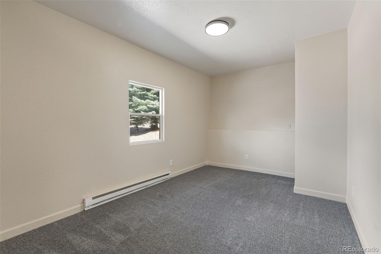 MLS Image #15 for 2366  distinctive drive,colorado springs, Colorado