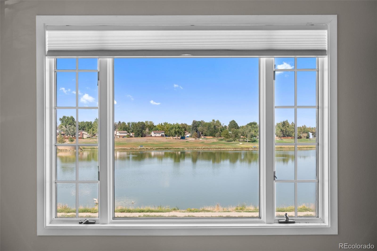 MLS Image #31 for 8092  newland court,arvada, Colorado