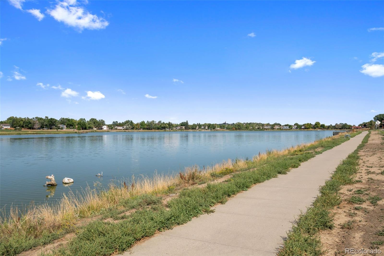 MLS Image #45 for 8092  newland court,arvada, Colorado
