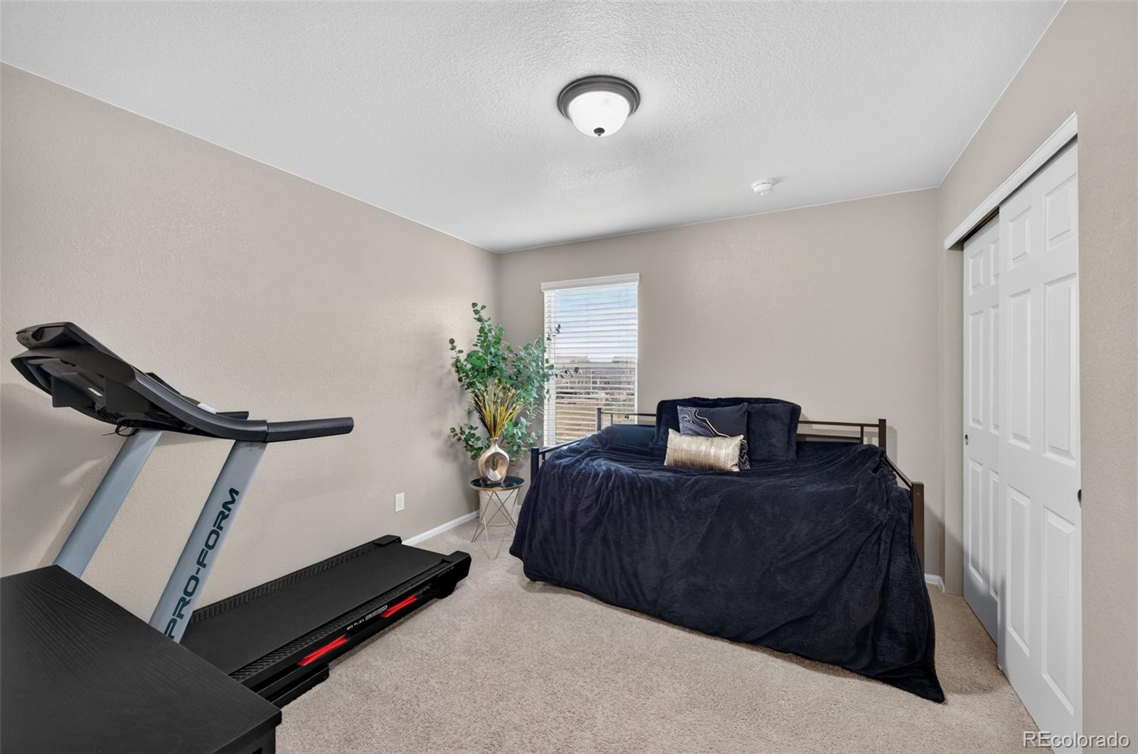 MLS Image #21 for 914  charlton drive,windsor, Colorado