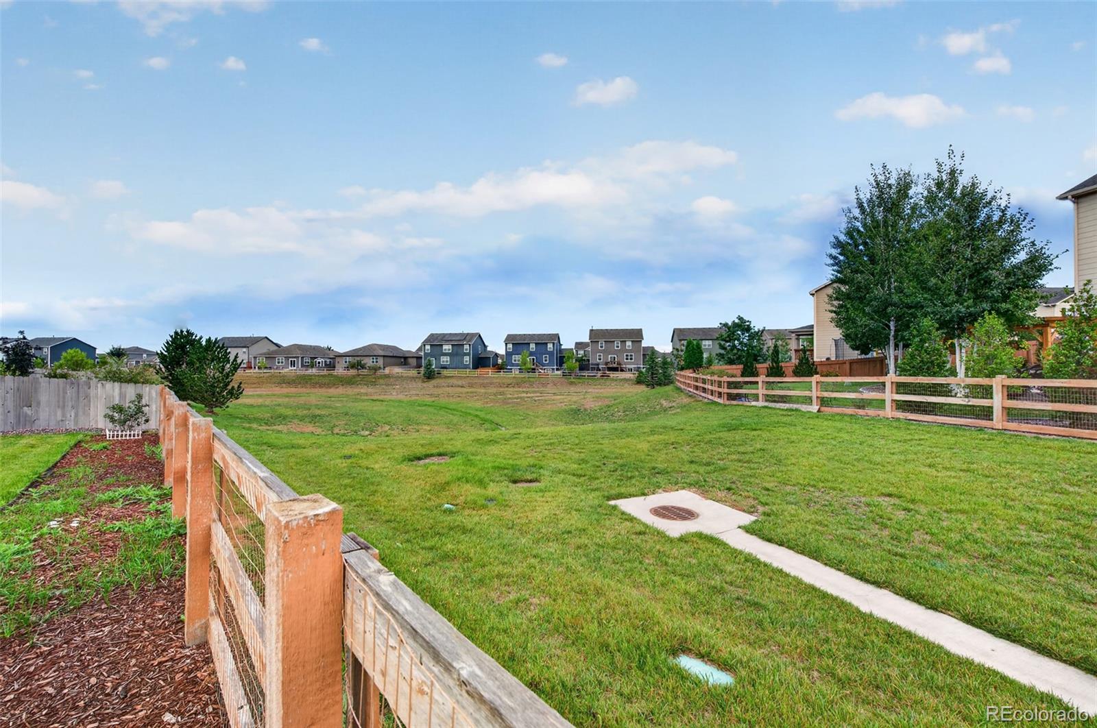 MLS Image #28 for 914  charlton drive,windsor, Colorado