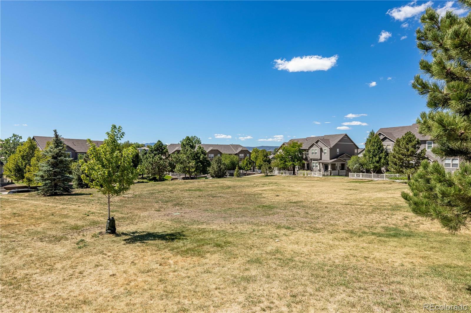 MLS Image #24 for 3862  tranquility trail,castle rock, Colorado