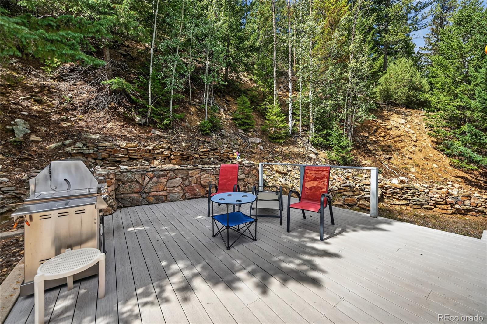 MLS Image #11 for 990  saddleback drive,evergreen, Colorado