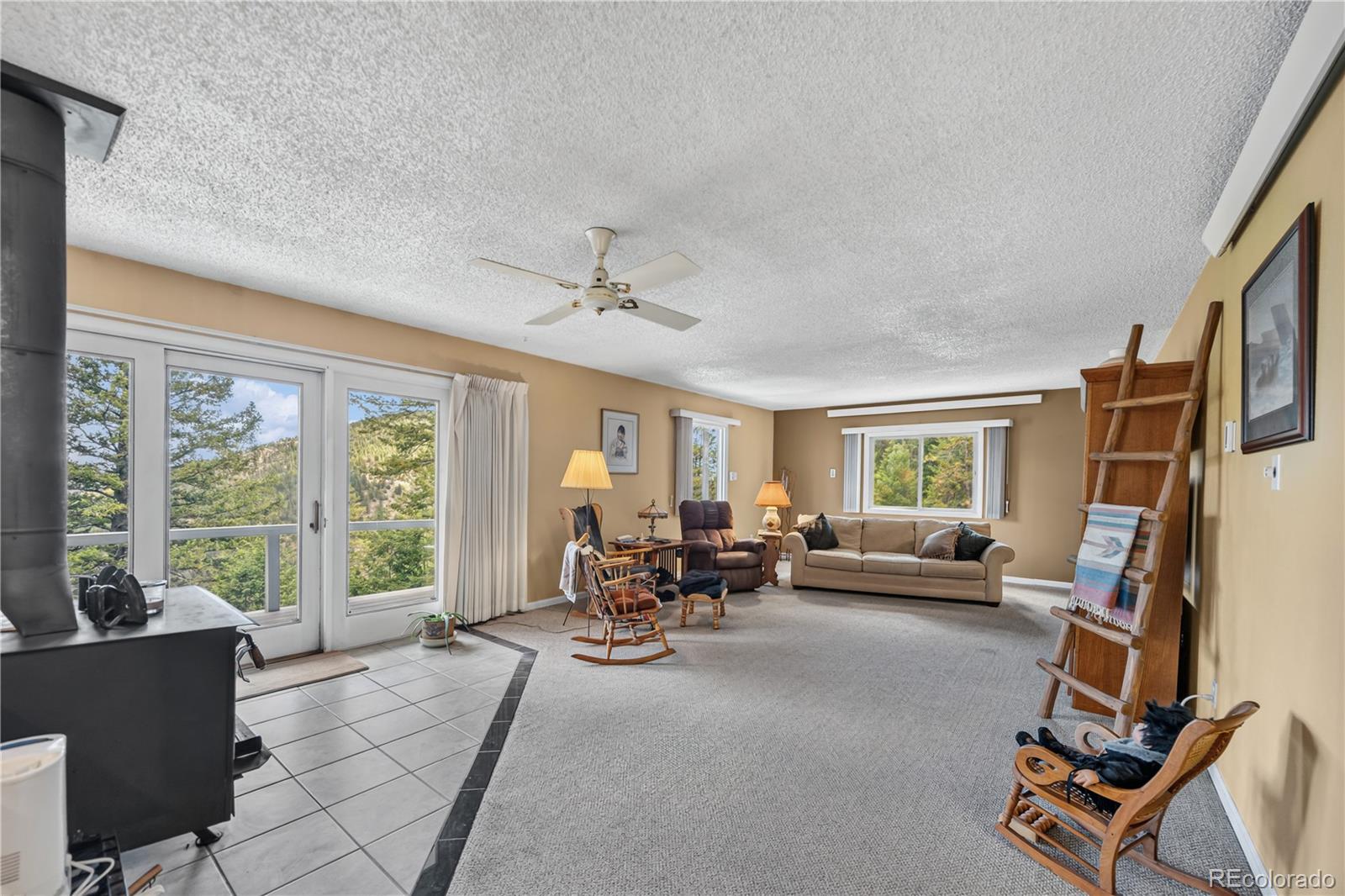 MLS Image #18 for 990  saddleback drive,evergreen, Colorado