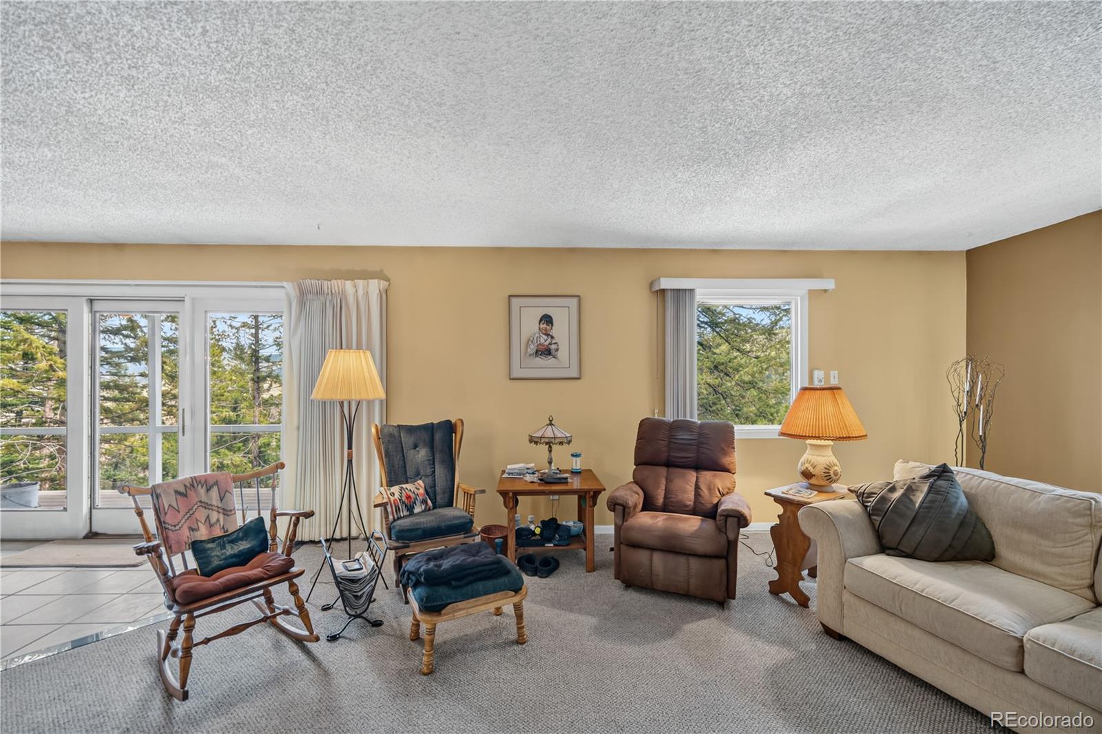 MLS Image #19 for 990  saddleback drive,evergreen, Colorado