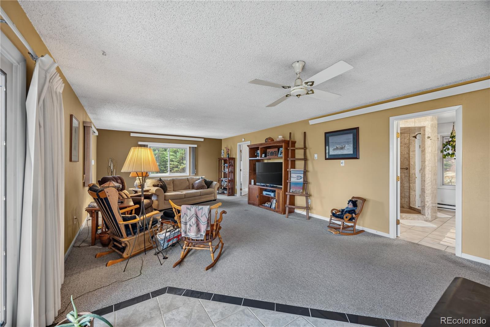 MLS Image #20 for 990  saddleback drive,evergreen, Colorado