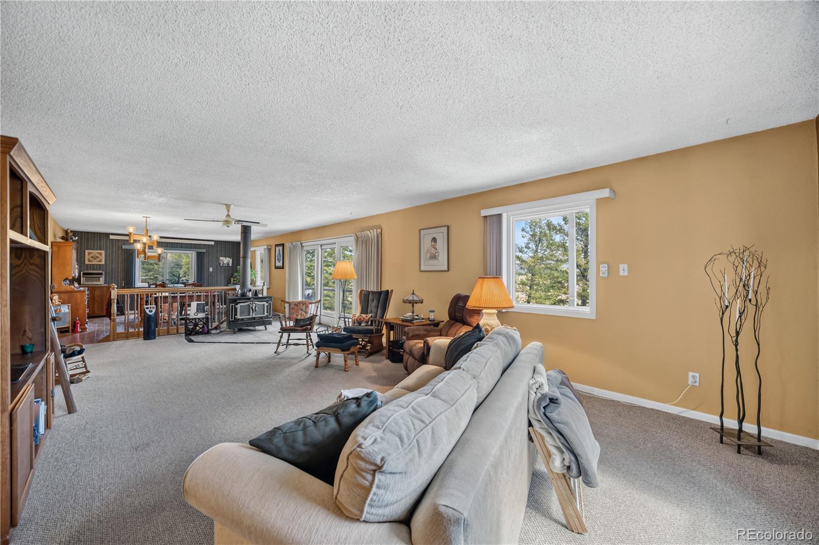 MLS Image #21 for 990  saddleback drive,evergreen, Colorado