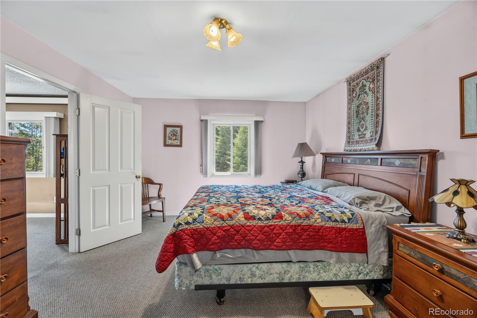 MLS Image #22 for 990  saddleback drive,evergreen, Colorado