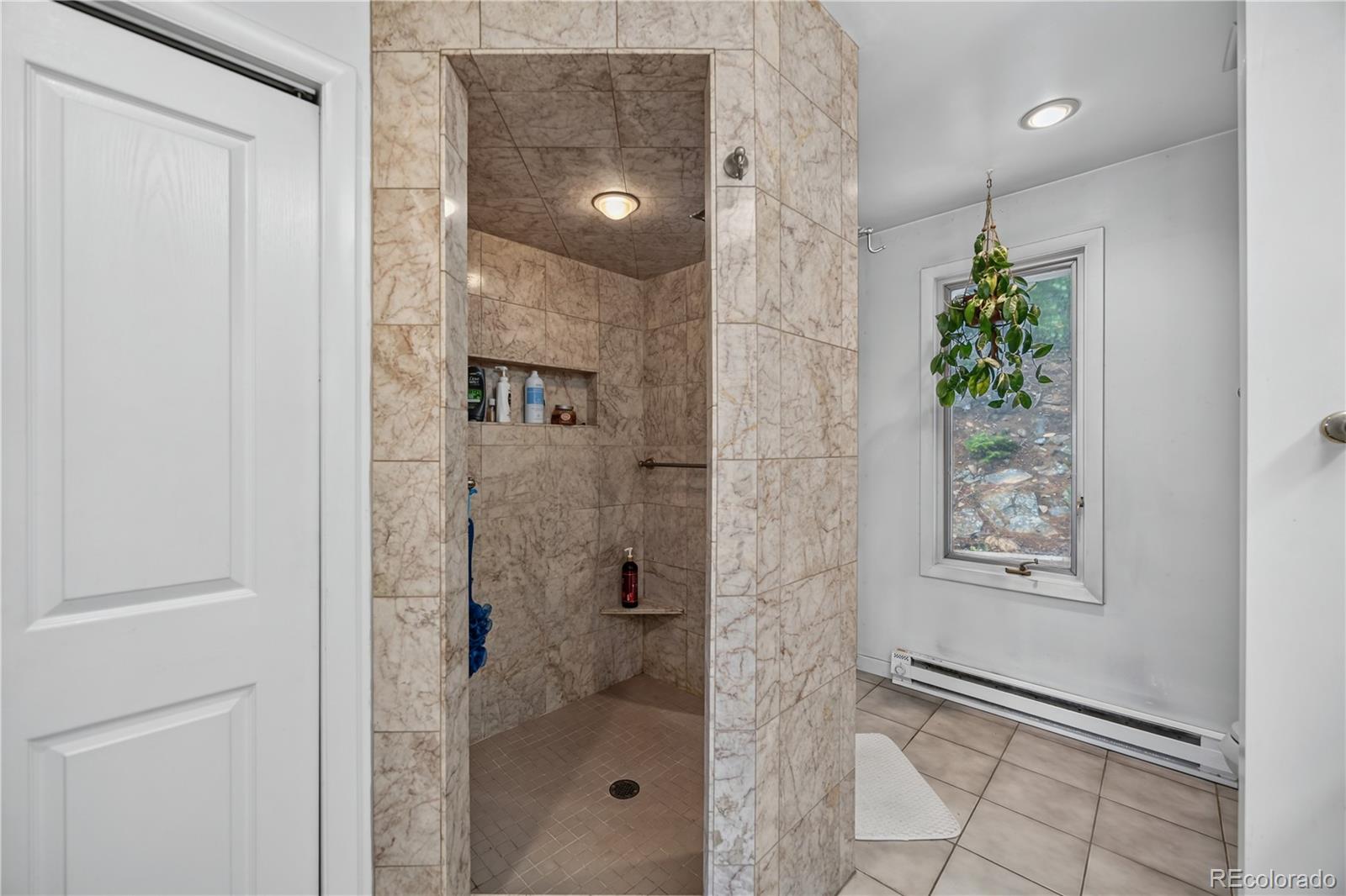 MLS Image #26 for 990  saddleback drive,evergreen, Colorado