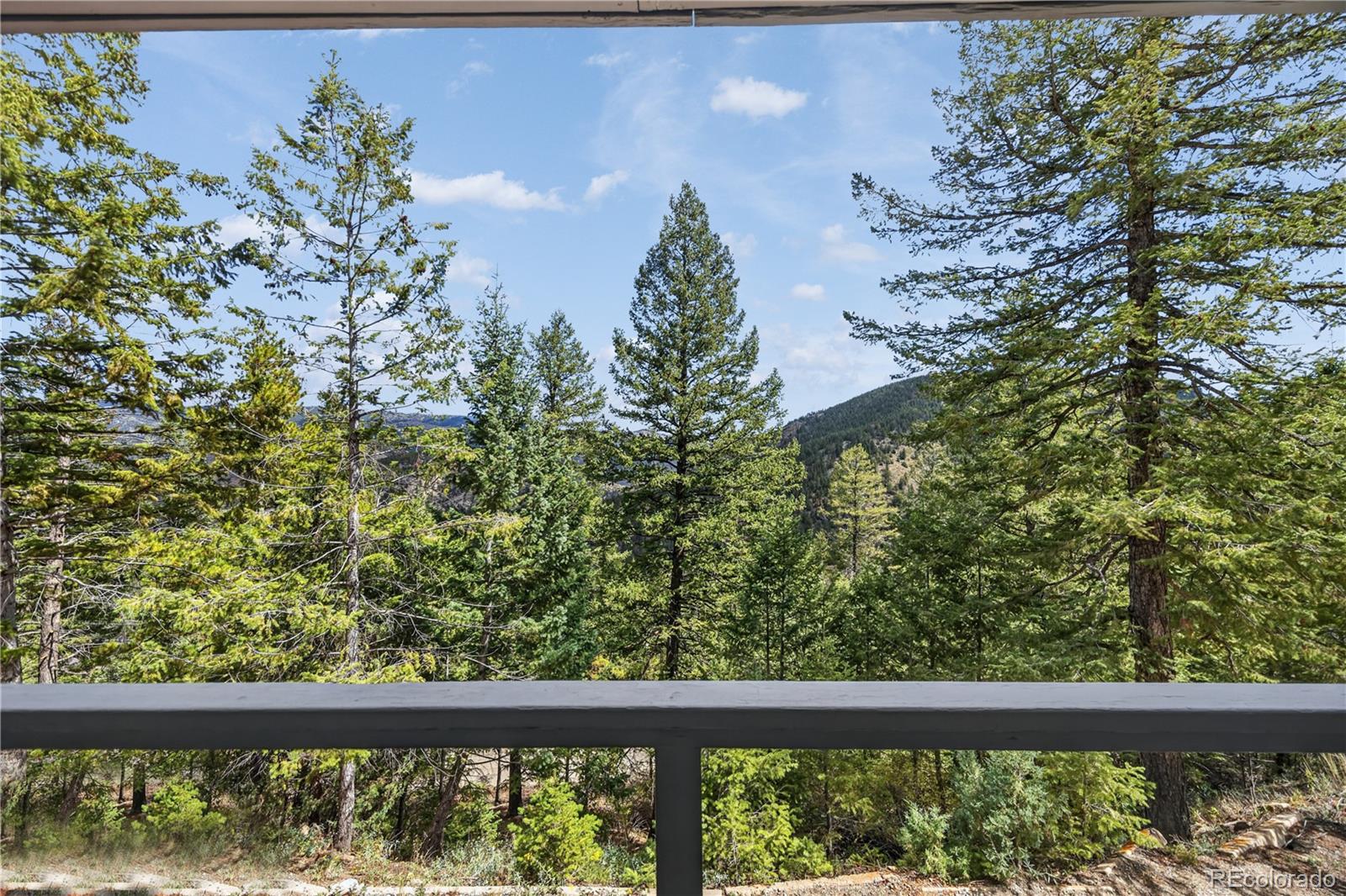 MLS Image #7 for 990  saddleback drive,evergreen, Colorado