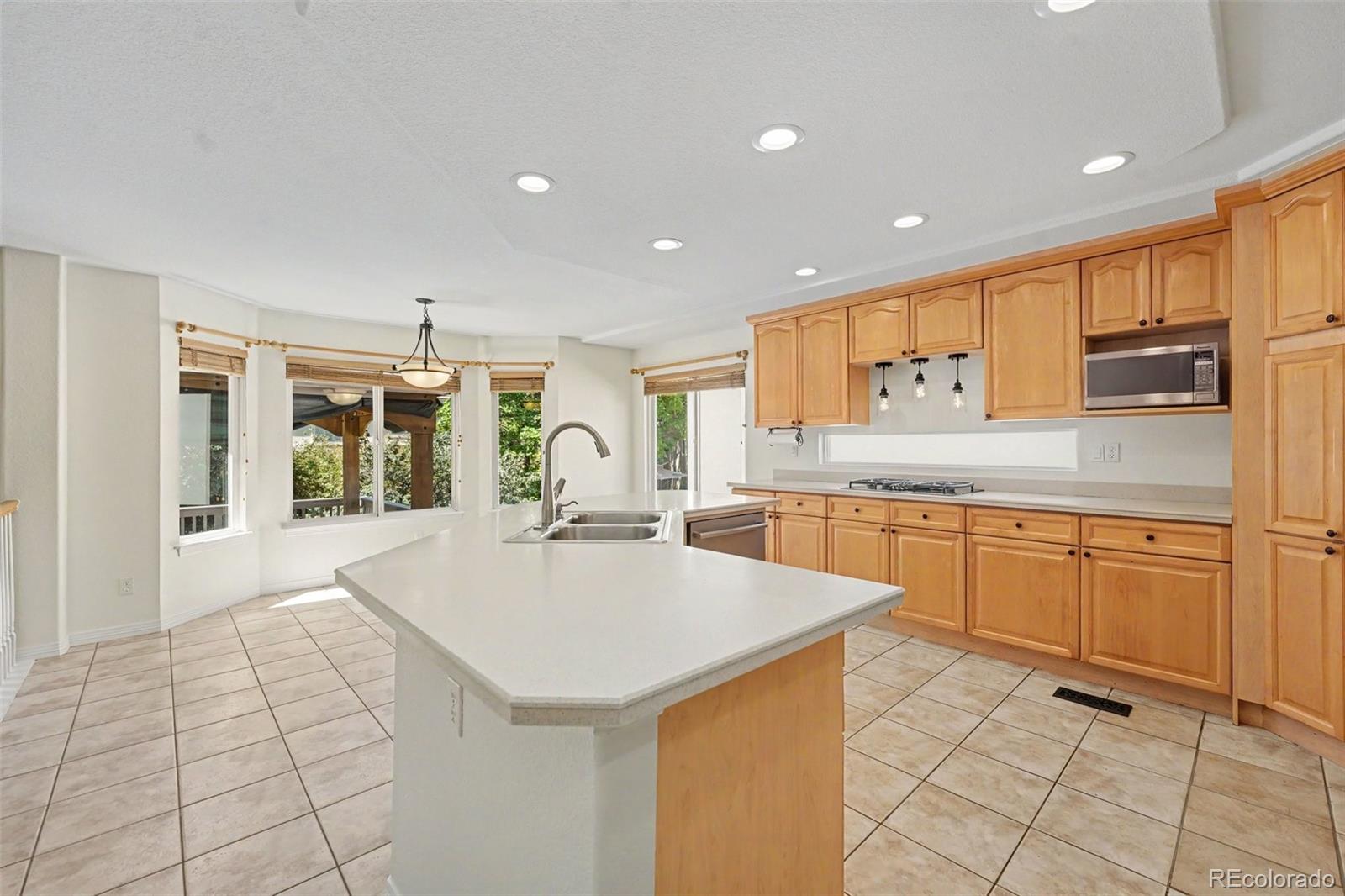 MLS Image #20 for 10425  colby canyon drive,highlands ranch, Colorado