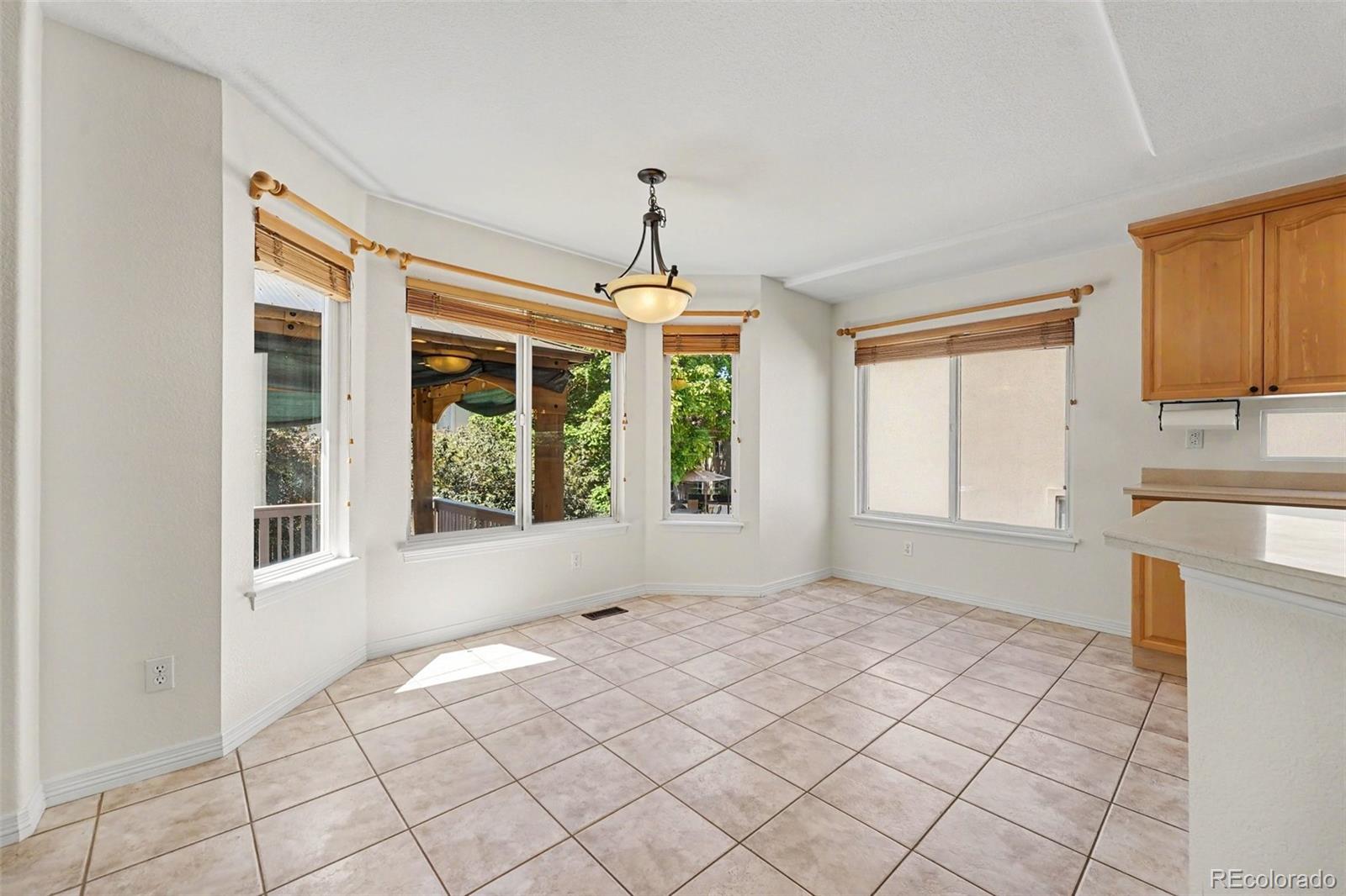 MLS Image #21 for 10425  colby canyon drive,highlands ranch, Colorado