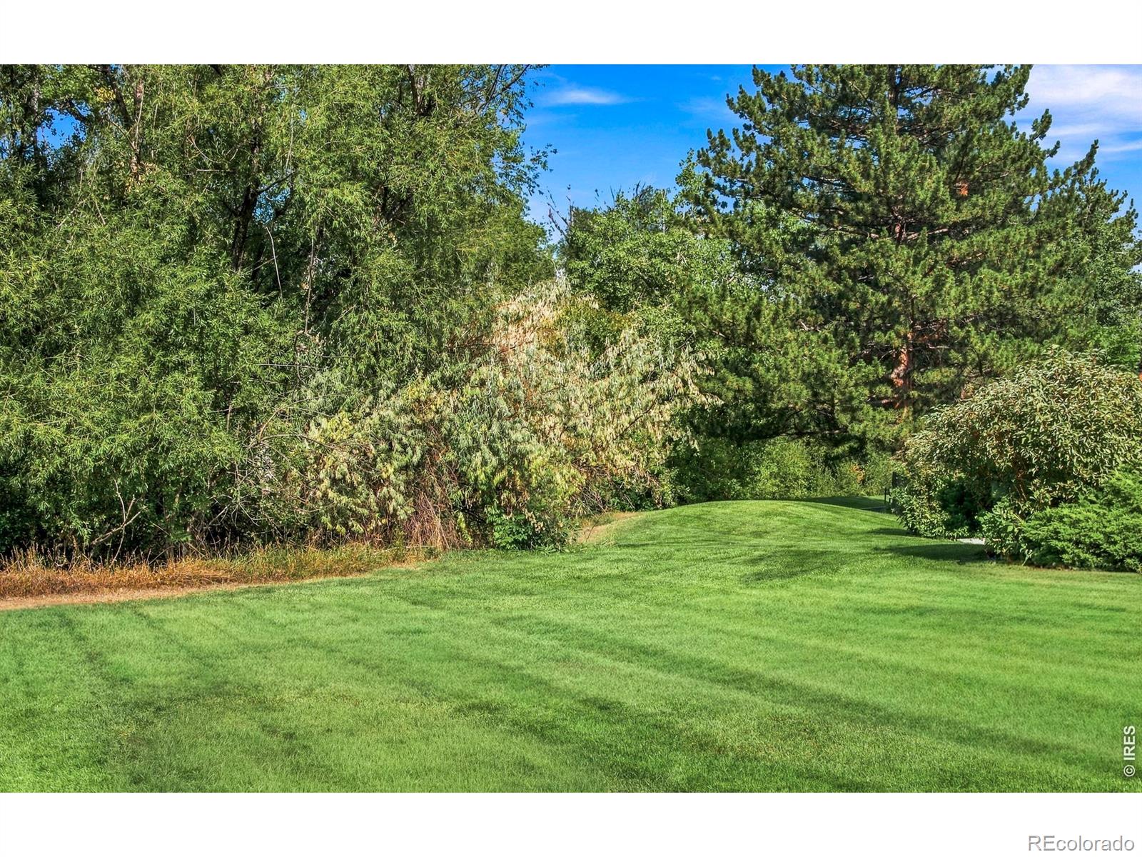 MLS Image #36 for 1239  harrison court,boulder, Colorado