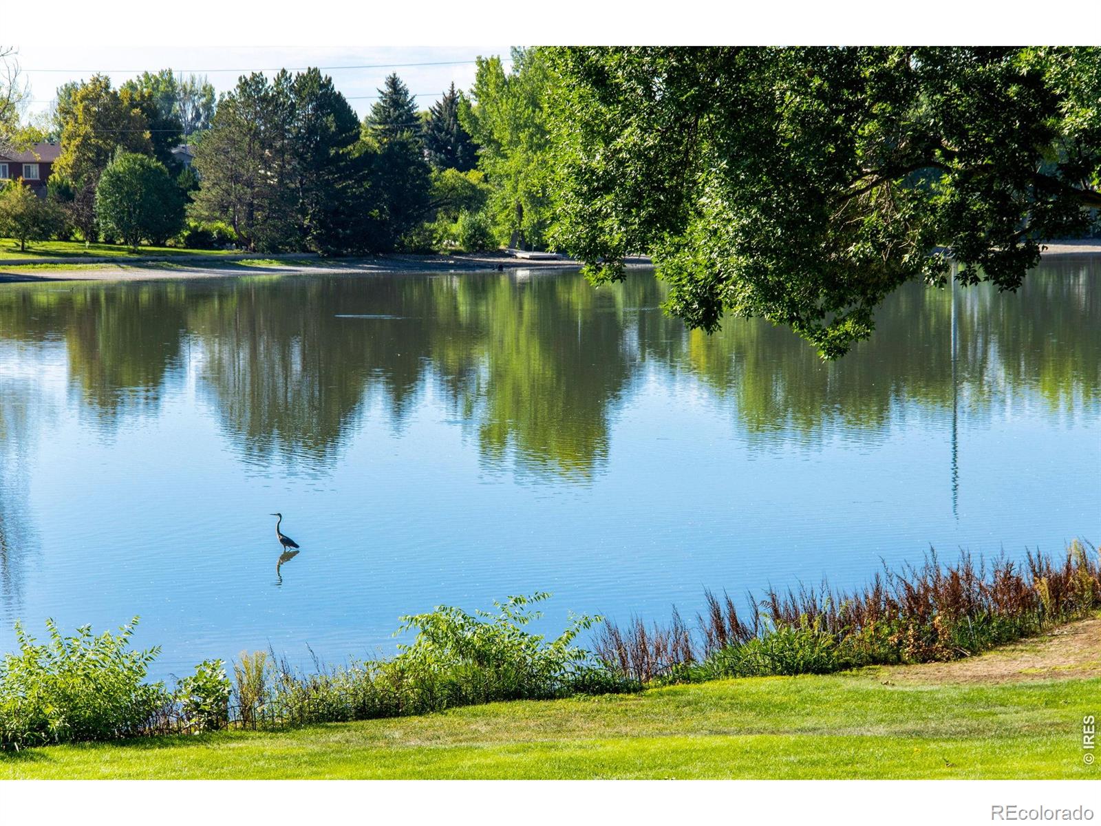 MLS Image #2 for 1115  parkwood drive,fort collins, Colorado