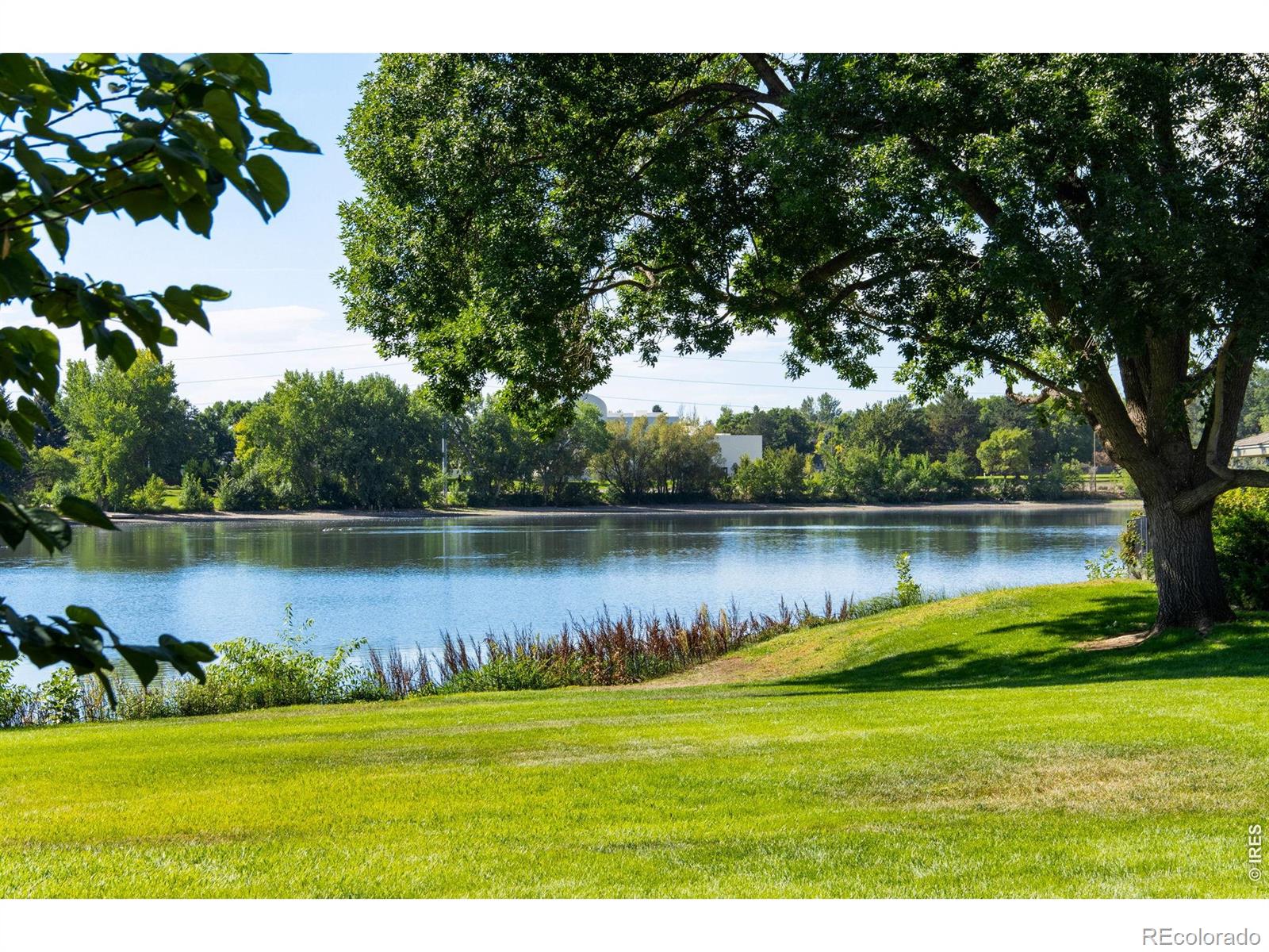 MLS Image #21 for 1115  parkwood drive,fort collins, Colorado
