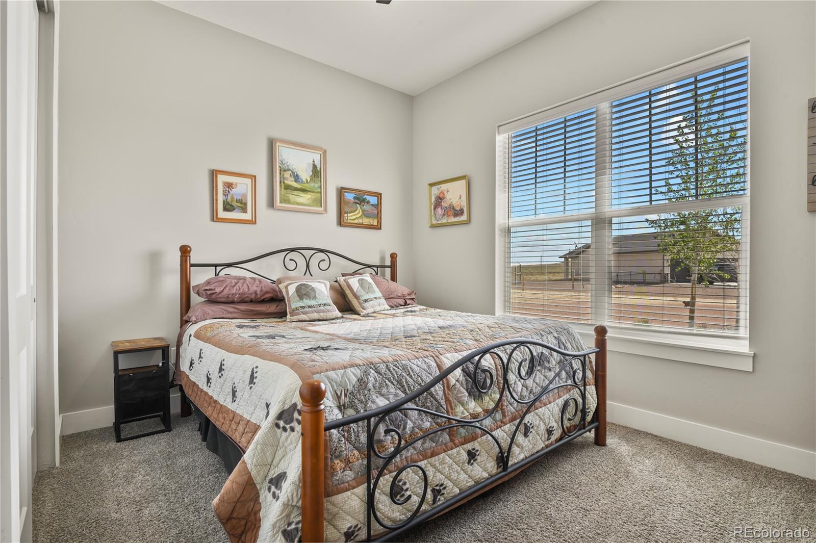 MLS Image #22 for 27 s tequila court,pueblo west, Colorado