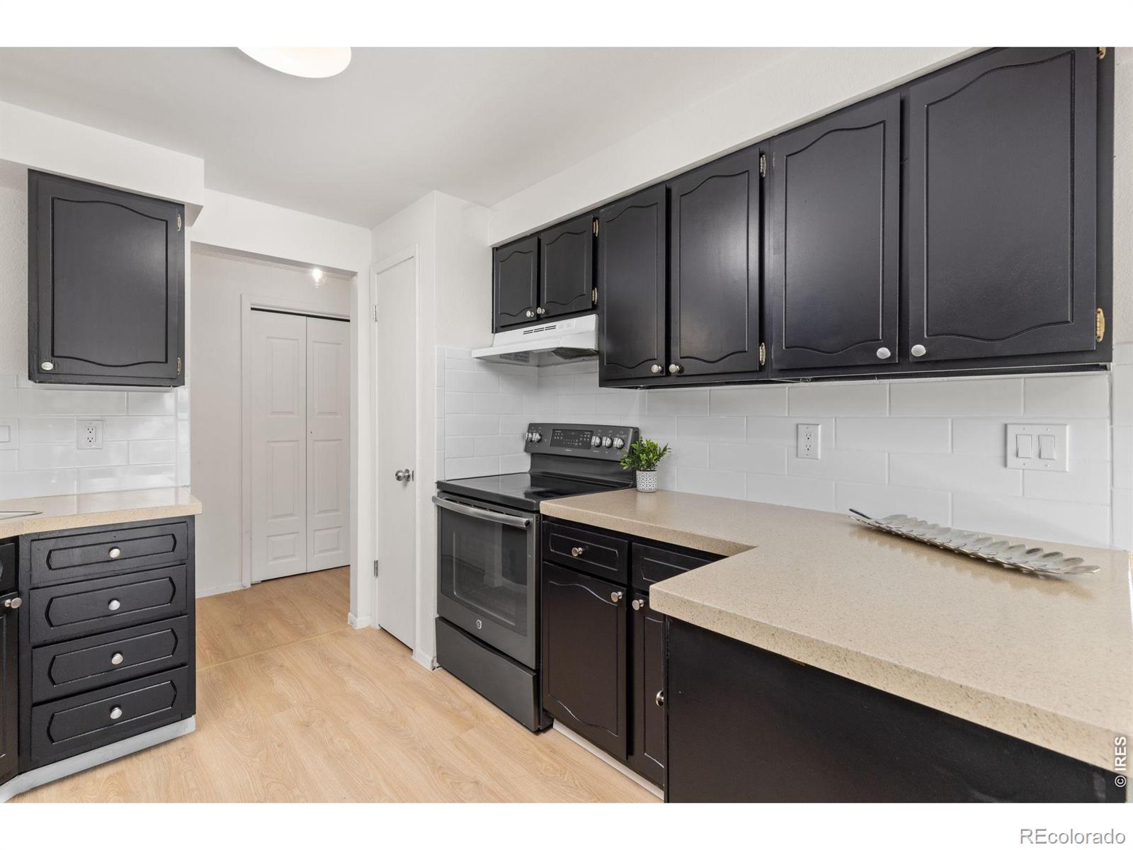MLS Image #2 for 925  bragg place,longmont, Colorado