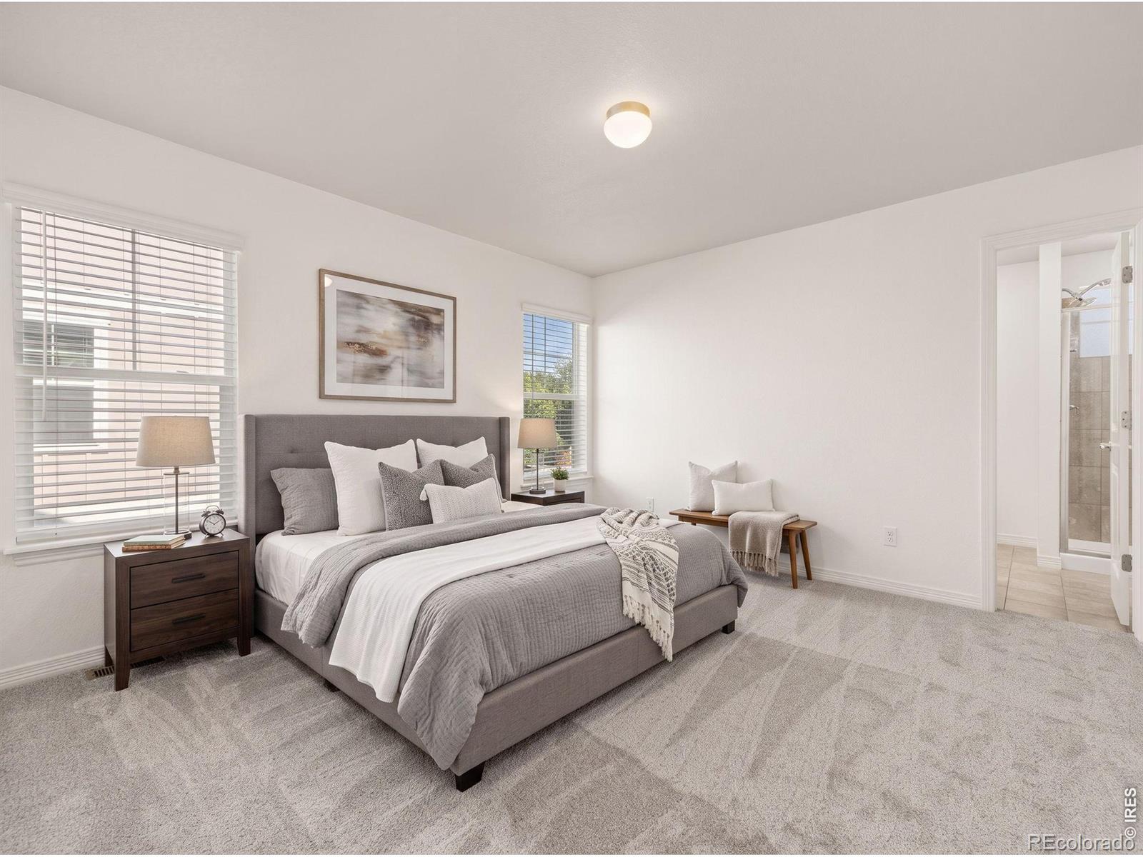 MLS Image #7 for 135 s 8th street,berthoud, Colorado