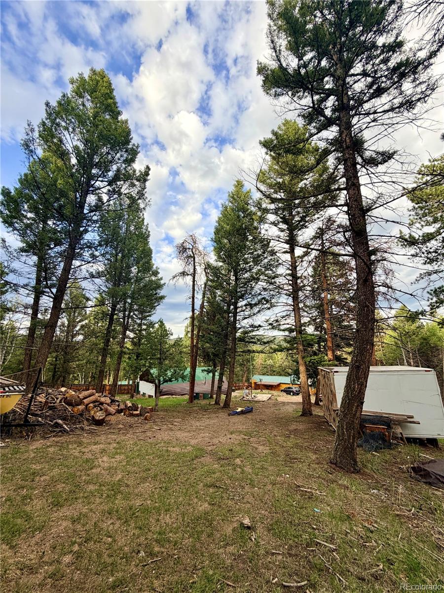 MLS Image #15 for 29230 s sunset trail,conifer, Colorado
