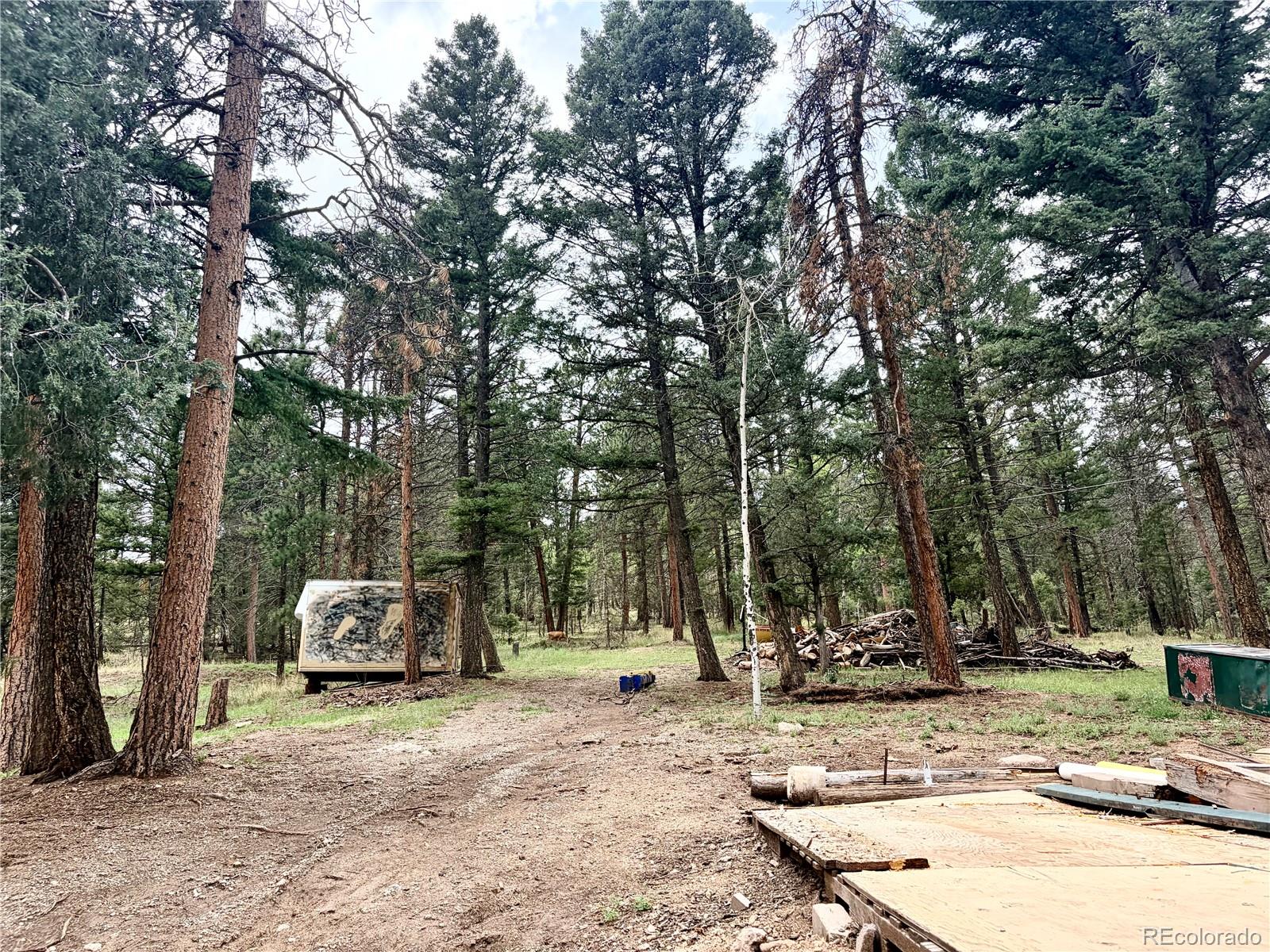 MLS Image #17 for 29230 s sunset trail,conifer, Colorado