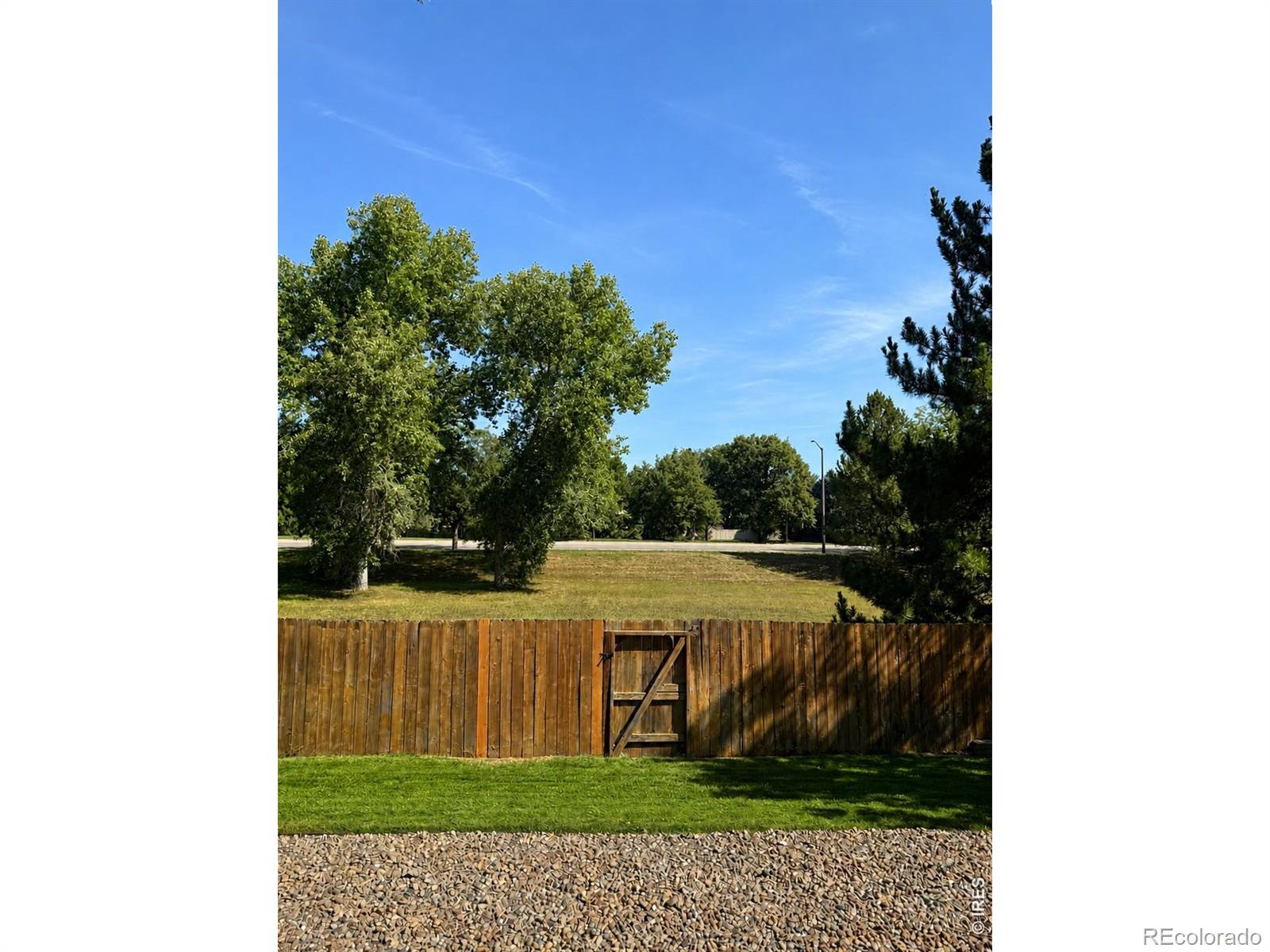 MLS Image #2 for 2824  antelope road,fort collins, Colorado