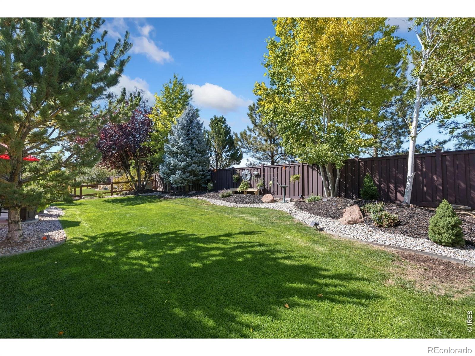 MLS Image #22 for 4527  tarragon drive,johnstown, Colorado