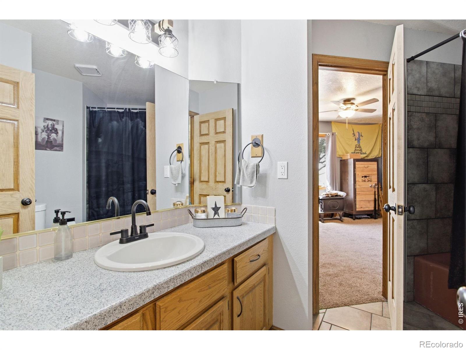 MLS Image #10 for 1185  collins street,eaton, Colorado