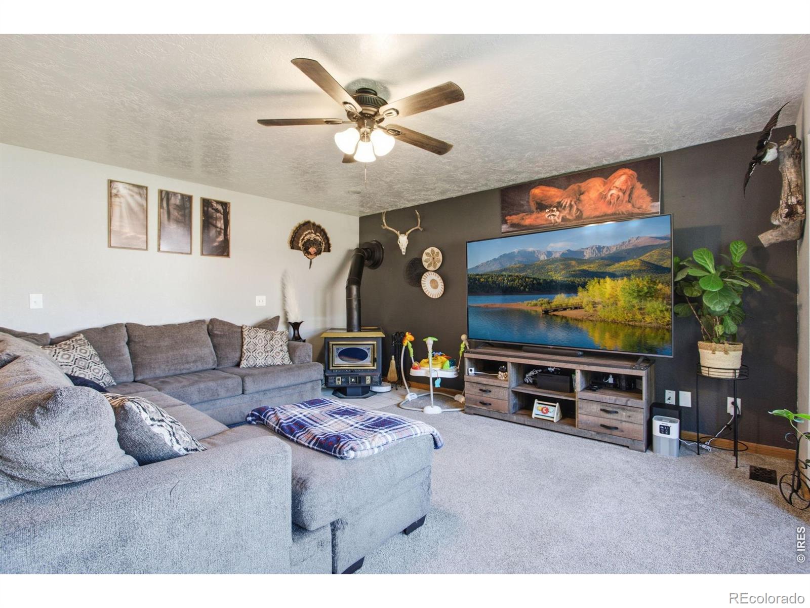 MLS Image #12 for 1185  collins street,eaton, Colorado
