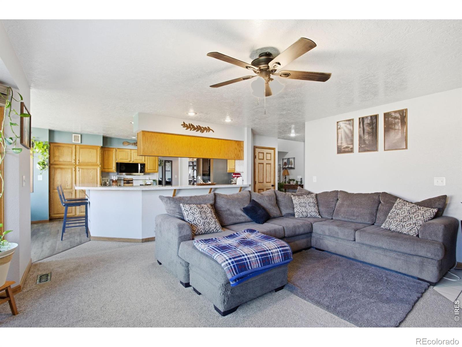 MLS Image #13 for 1185  collins street,eaton, Colorado