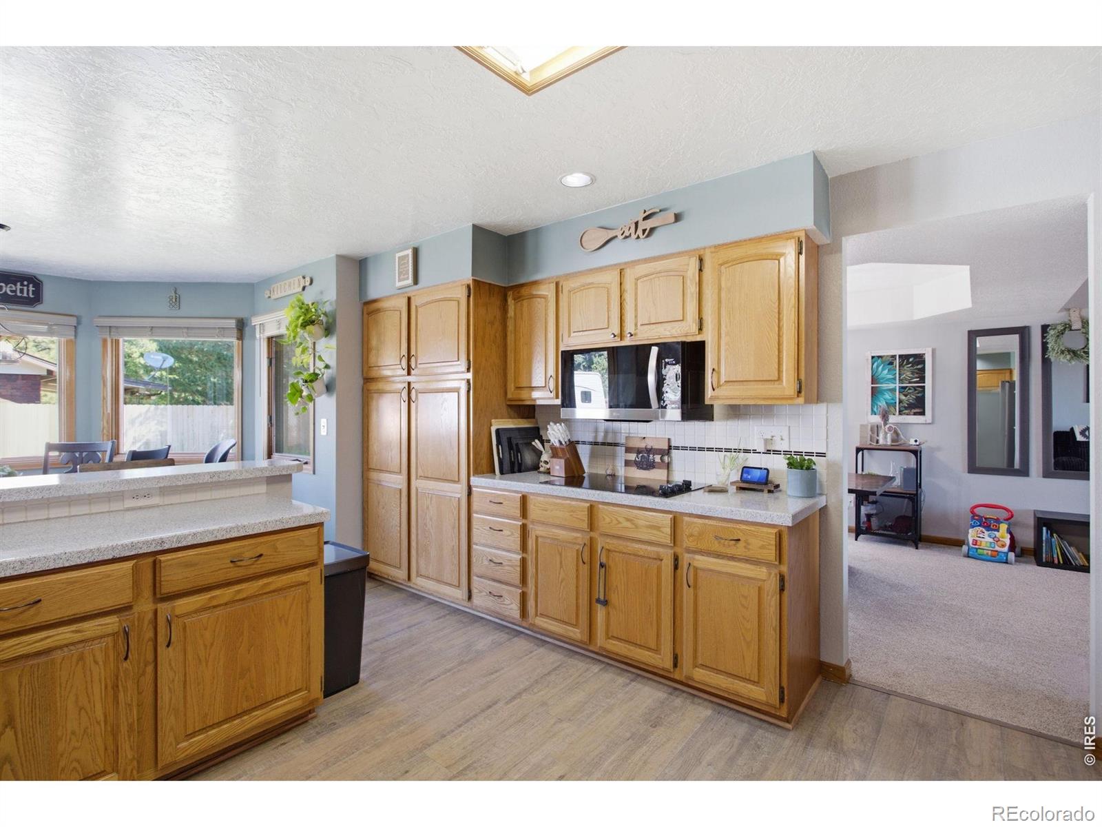 MLS Image #18 for 1185  collins street,eaton, Colorado