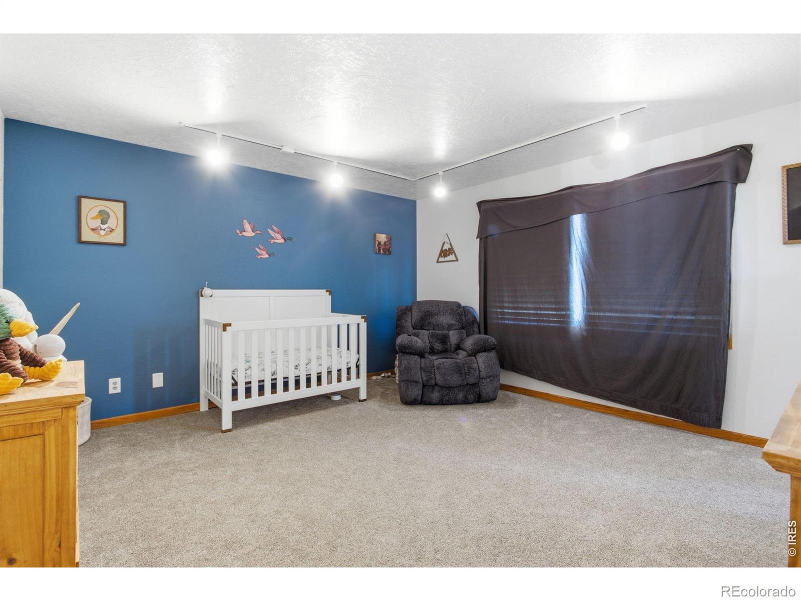 MLS Image #27 for 1185  collins street,eaton, Colorado