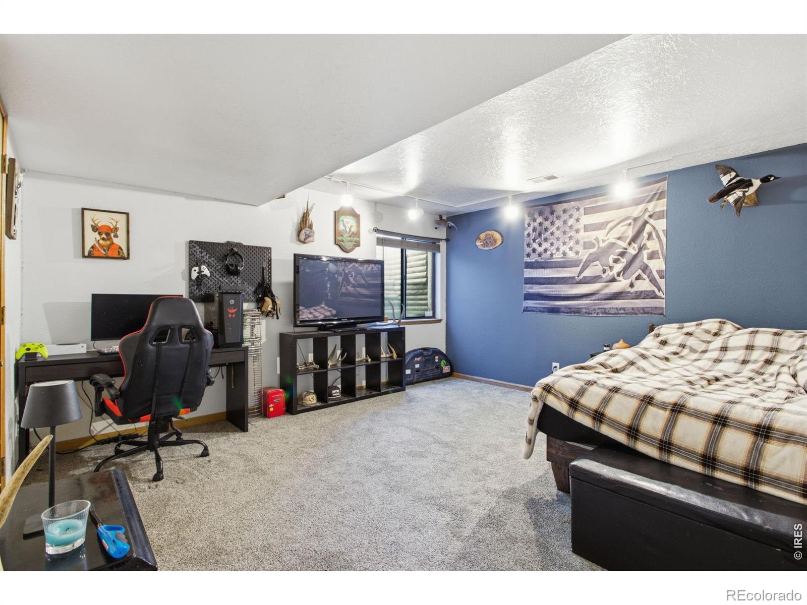 MLS Image #31 for 1185  collins street,eaton, Colorado