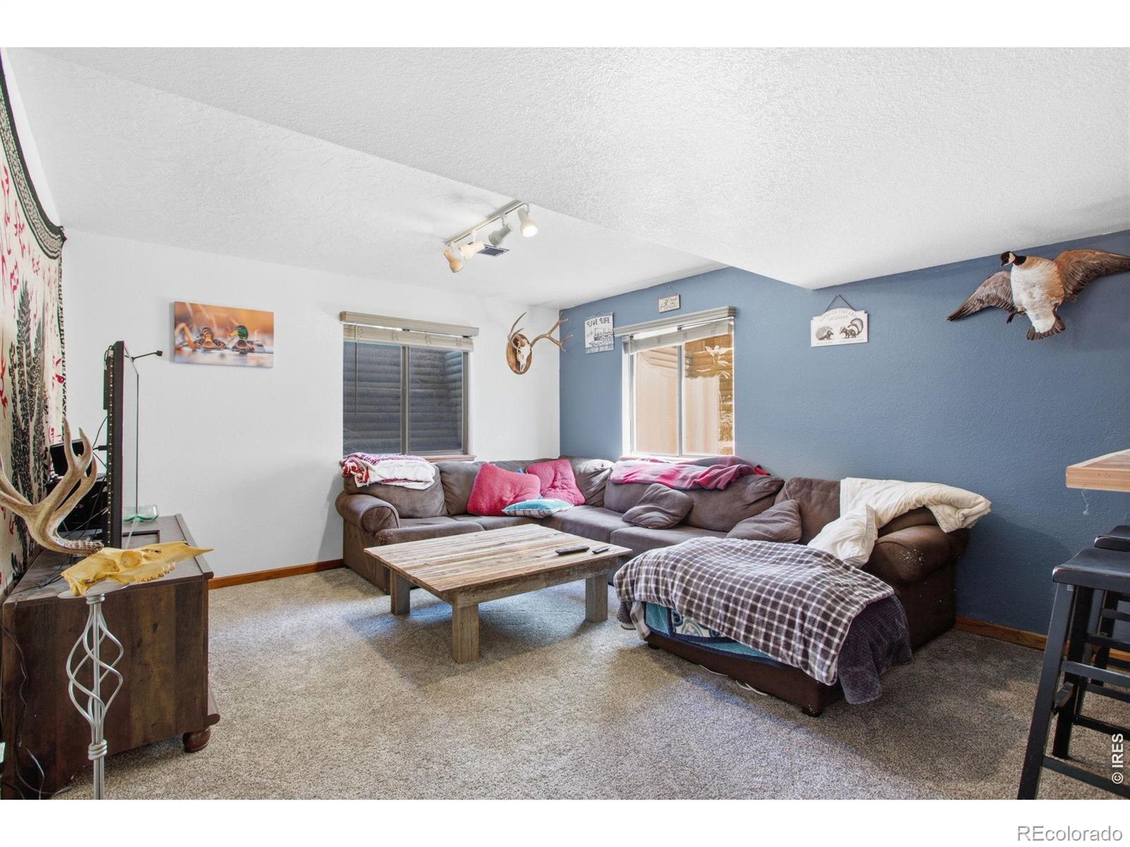 MLS Image #35 for 1185  collins street,eaton, Colorado