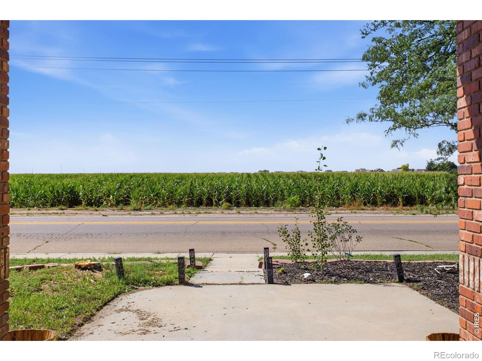 MLS Image #6 for 1185  collins street,eaton, Colorado