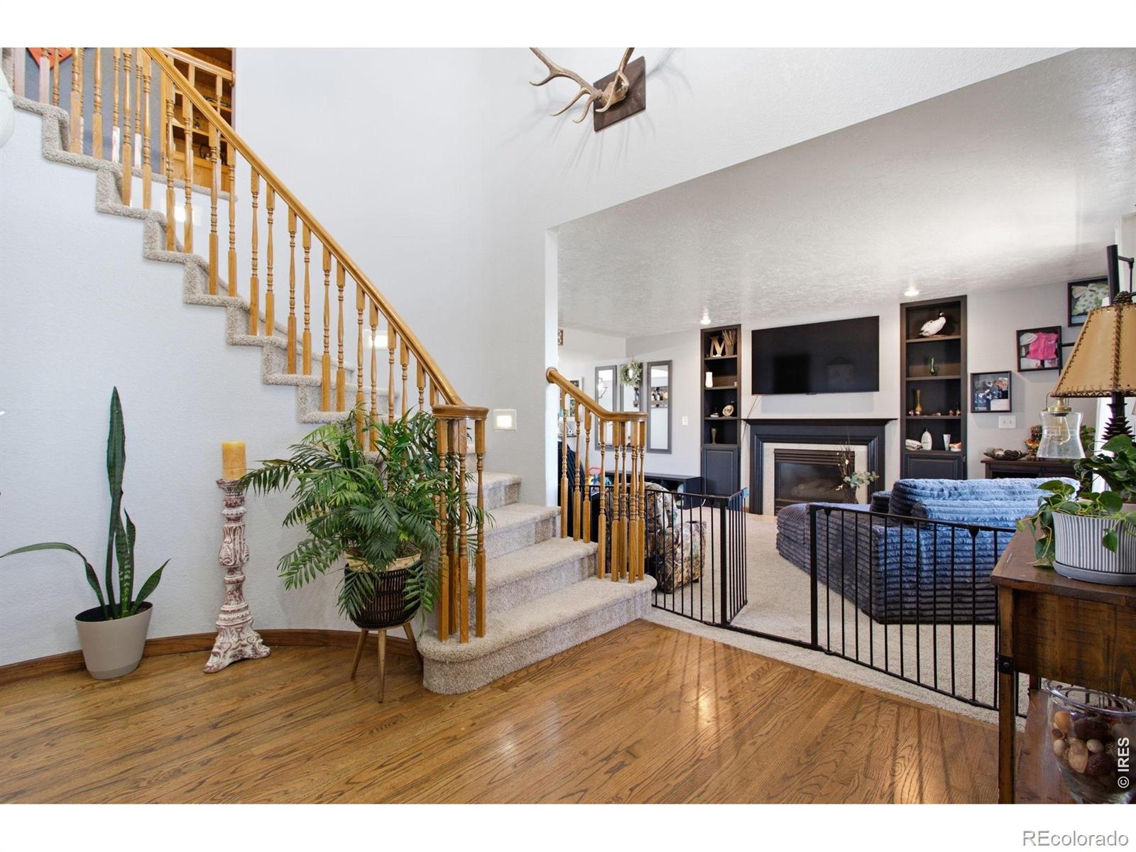 MLS Image #7 for 1185  collins street,eaton, Colorado